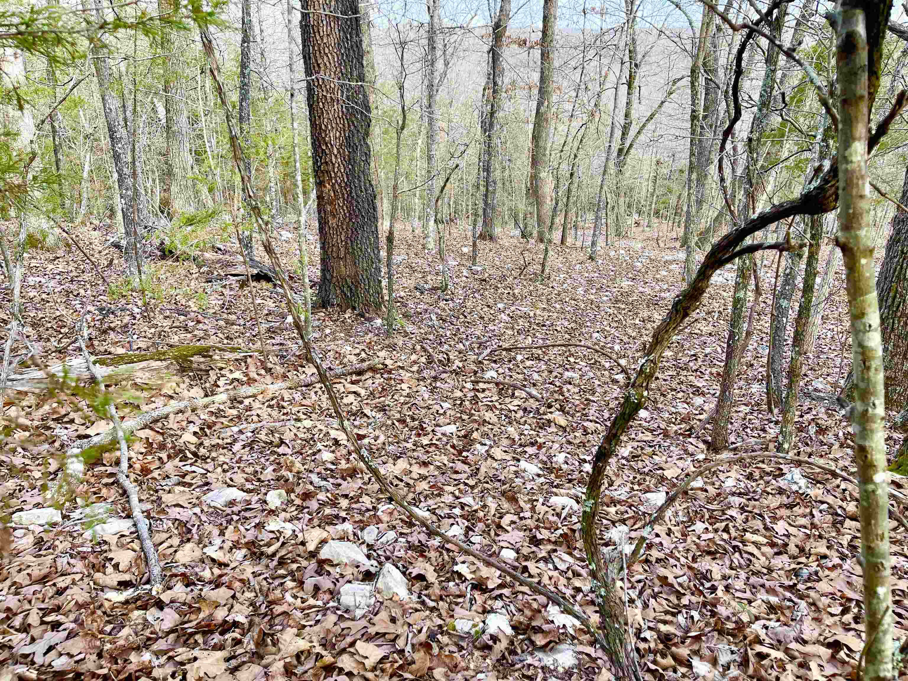 MOTIVATED SELLER! MAKE AN OFFER! 2 Lots for $3,000! Located up the hill from Lake Omaha in Cherokee Village AR. This .29 acre lot is large enough to build that new home with amazing views you have been dreaming of! This nice wooded lot is on a paved city street and sits high up on Coweta Drive.  Great place to build your new home. Fish in the popular Spring River or any of the 7 beautiful lakes in the area and shop in the famous Old Hardy town. If your a golfer you will not be disappointed in our prestigious North and South golf courses in Cherokee Village. What else would you need if you moved here to retire?!