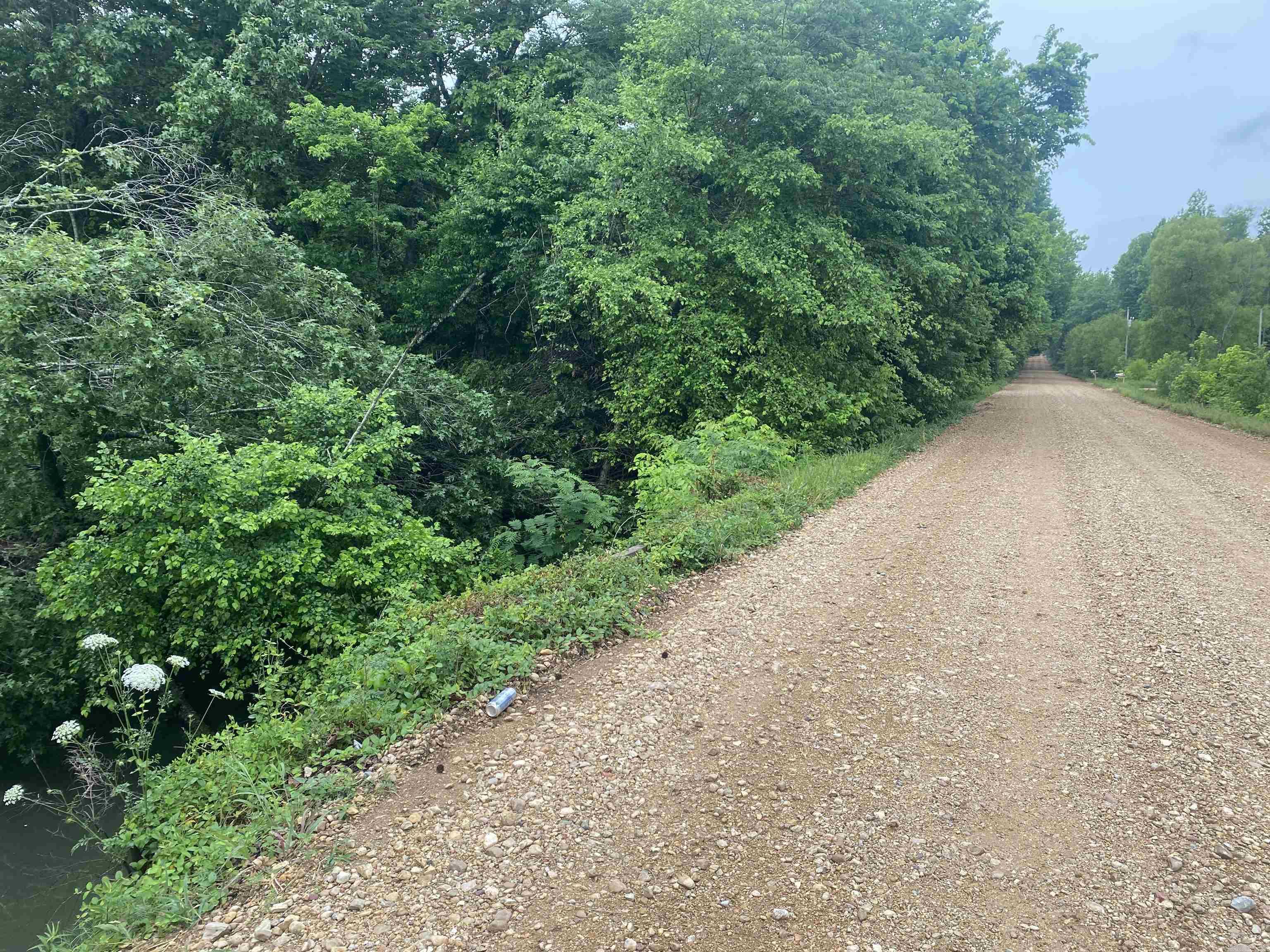 Lot 1 of 4. 10 Acres of wooded land, would be a great location to build your new home, This place is loaded with deer and turkey!  It has two creeks on the property and Big creek runs from Lake Frierson, causing it to be filled with fish as well! Seller has 40 acres total for sale in multiple tracts!