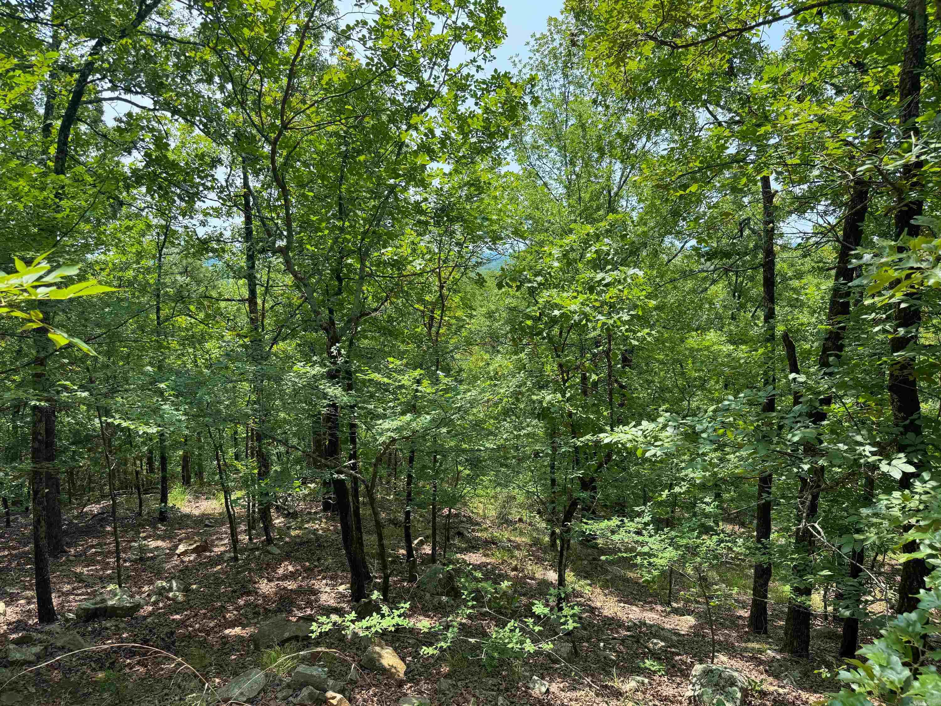 High Point - Land