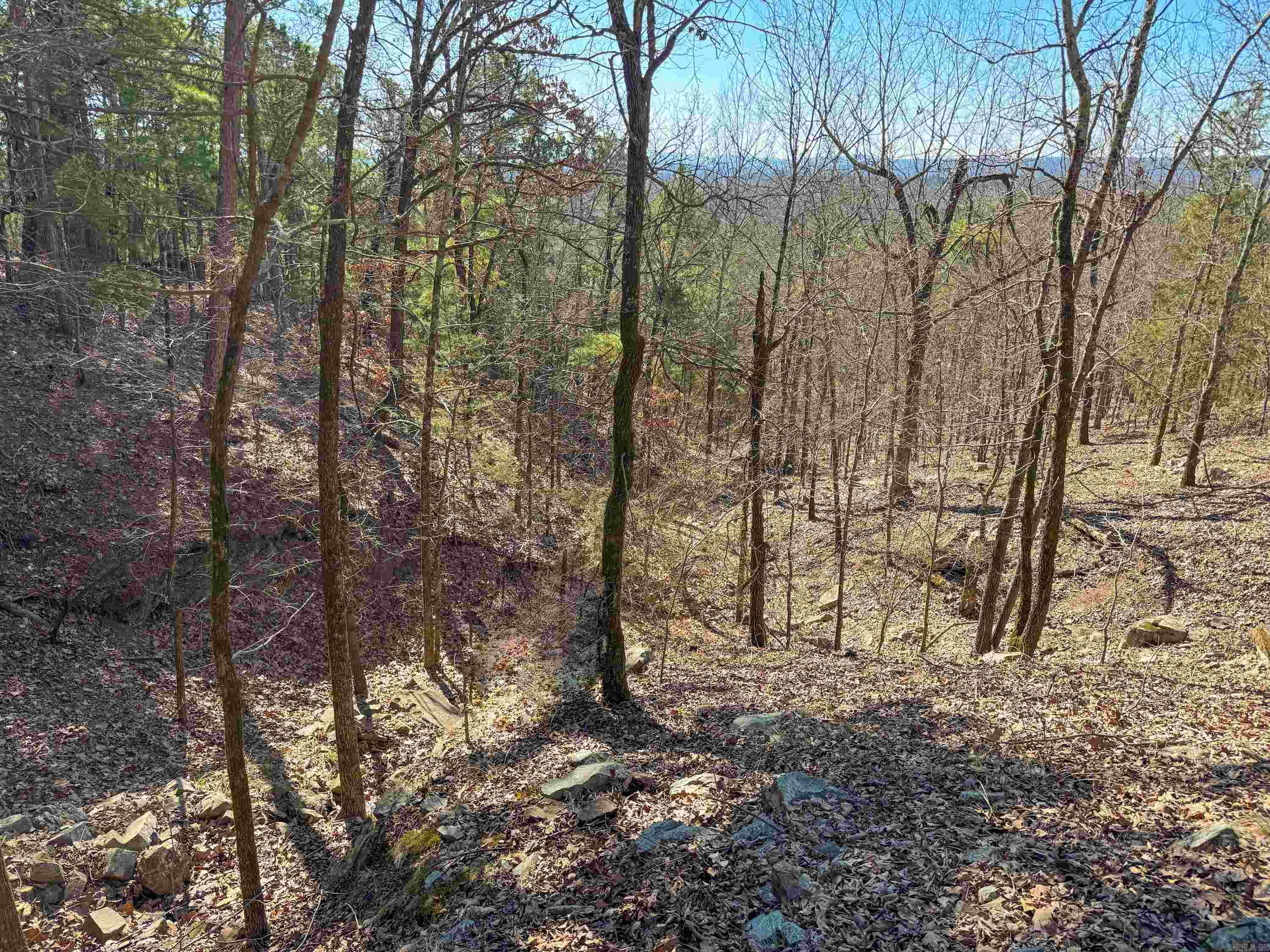 Beautiful lot in High Point Subdivision located in the Arkansas River Valley, just four miles northwest of Mayflower and less than 10 minutes from the nearest on-ramp to I-40. The subdivision is private and tucked away on a dead-end county road. This lot is 4.14 acres. The land inclines from High Point Road. Midway up the lot and higher, there will be a gorgeous view to the south with a little tree clearing.  A wet-weather creek runs down the hill and creates several little waterfalls when it rains. This tract has lots of oak and hickory trees as well as few winged elms, Deerberry shrubs, muscadine vines, and wild blackberries. It’s common to see abundant wildlife, including white-tailed deer, rabbits, gray squirrels and many species of birds.  There are several very nice homes along the ridge, with residents whom all have the self-sufficiency of their own water wells. Minimum building square footage is 1,450 and no mobile homes are allowed. More lots are available.