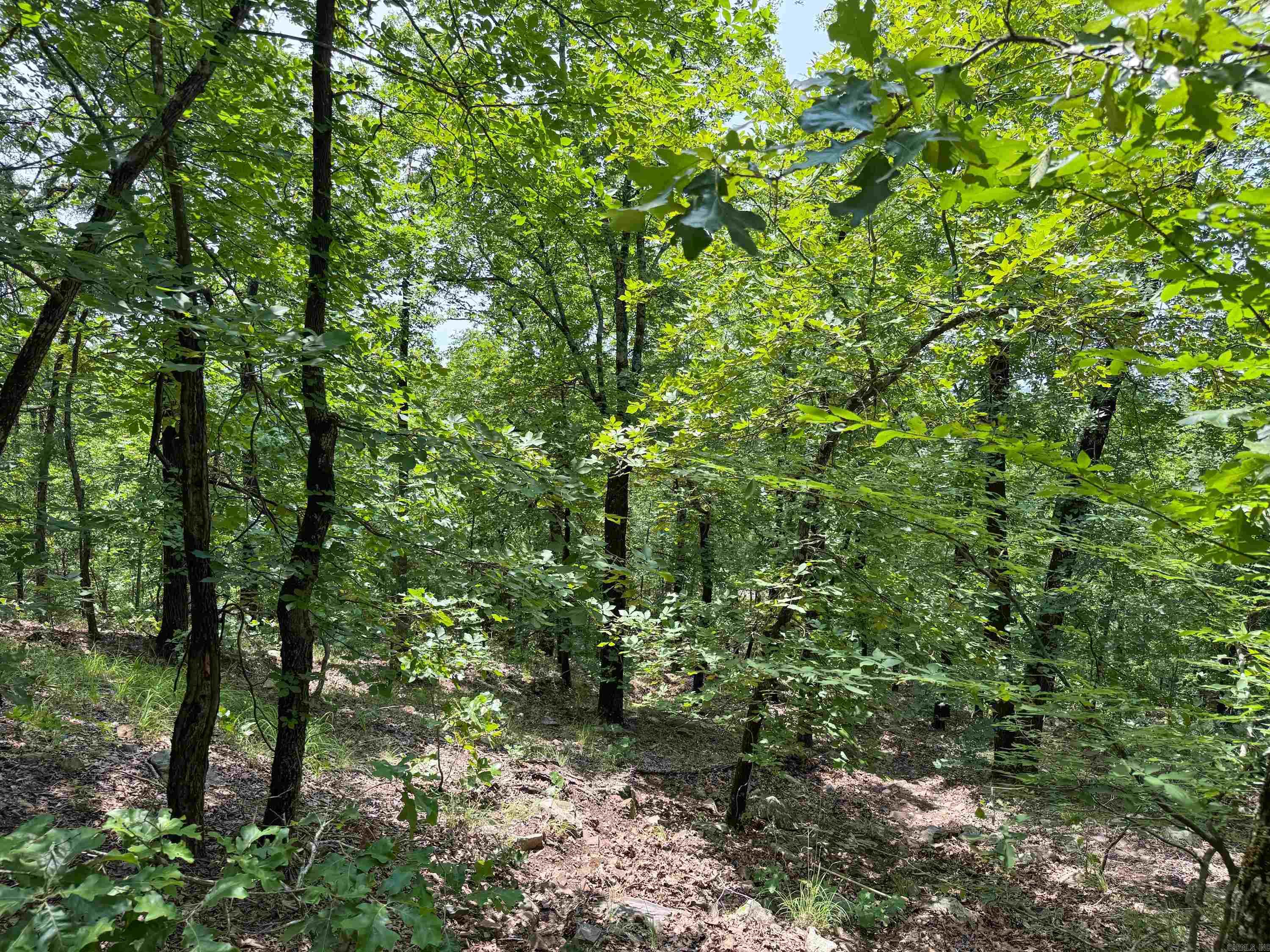 High Point - Land
