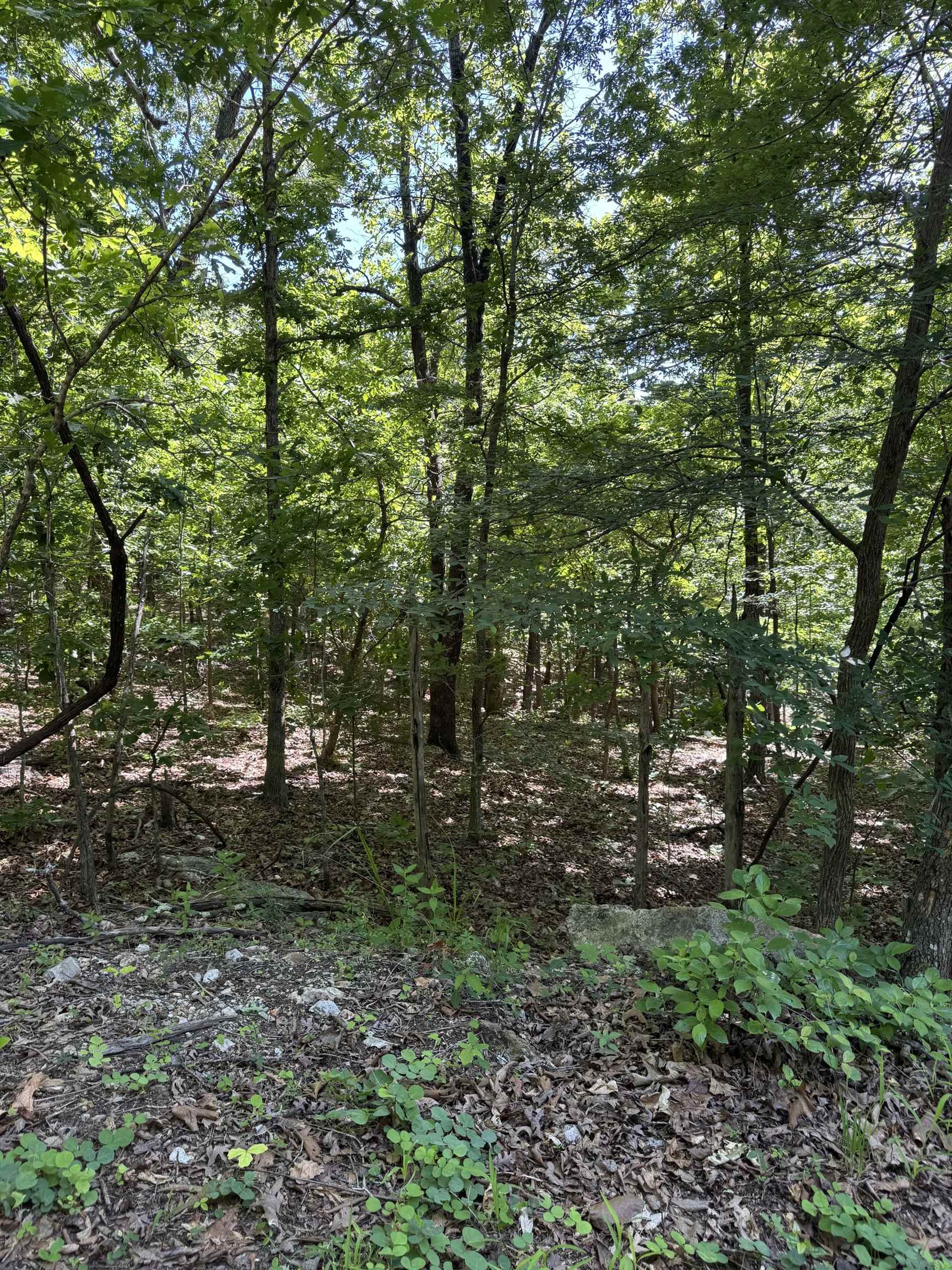 Come and check out this peaceful secluded golf lot.  Nestled in on hole 3 surrounded by mature trees and nature, this could be the place you build your dream home.  Priced to sell, and just minutes from lakes, rivers and outdoor recreation this lot gives you the quiet charm of the Ozarks and amenities Cherokee Village is known for.  Call for your tour today.
