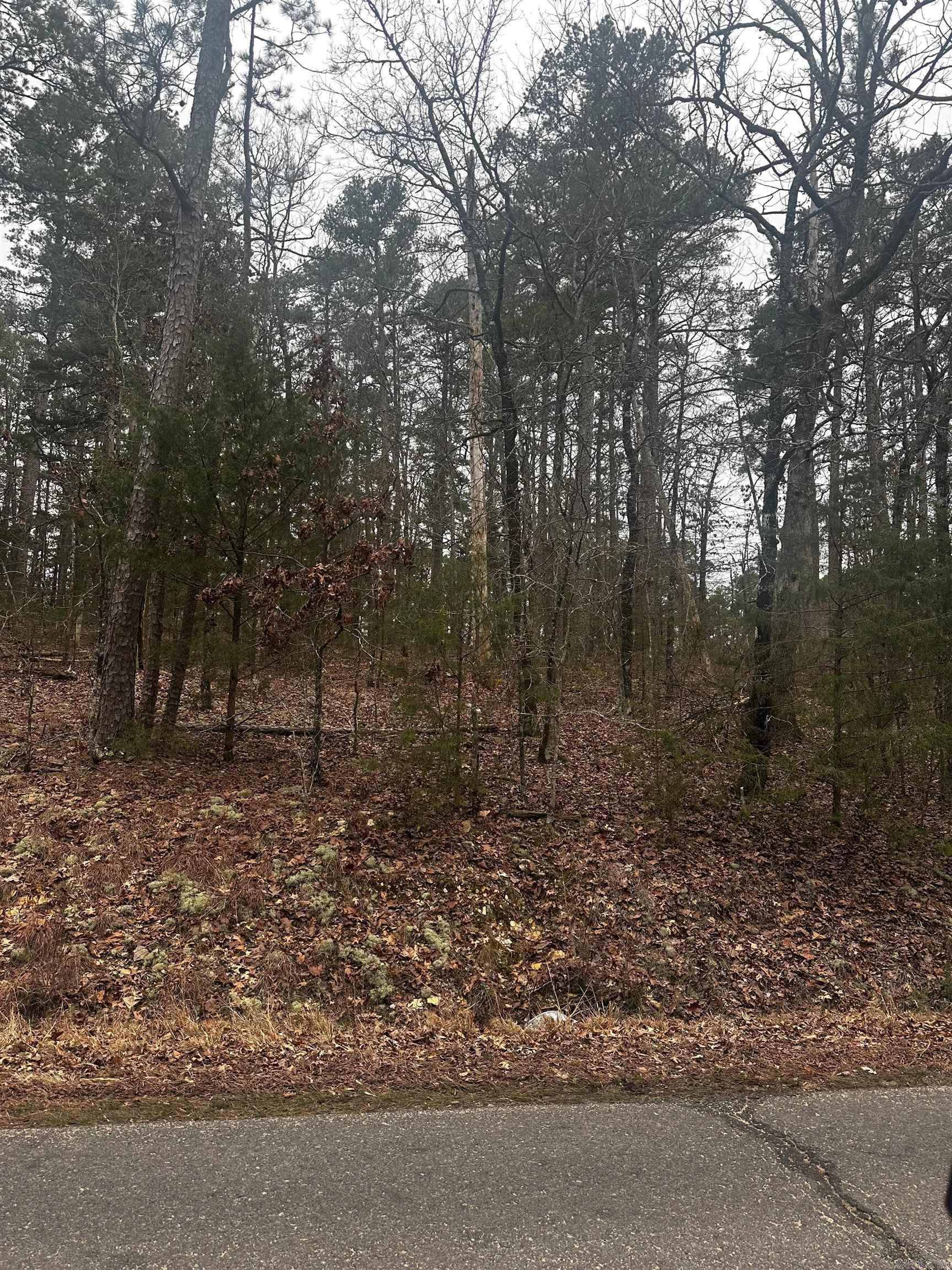 Build Your Dream Home in Hot Springs Village!  Discover this beautiful lot in Hot Springs Village, the largest gated community in the U.S., offering serene wooded views and access to nine championship golf courses, 11 lakes, scenic trails, and top-notch amenities. Enjoy privacy, security, and a vibrant lifestyle with dining, recreation, and community events. Don’t miss this opportunity to create your perfect retreat!  Call today for more details!