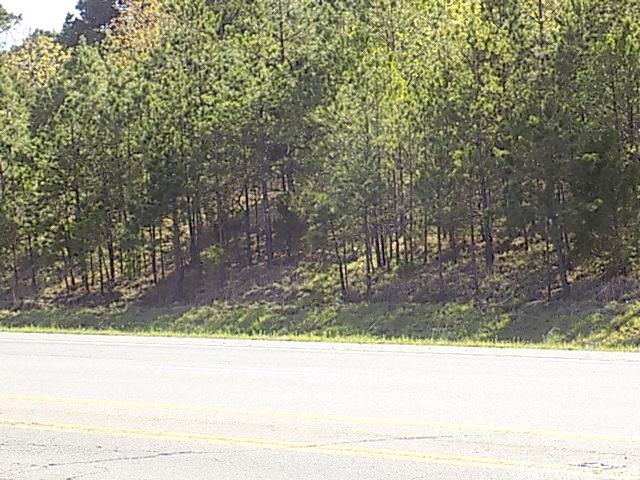 On HWY 65 in Greenbrier Arkansas.This property has potential for commercial development. Outside the city limits on the way to Branson with a high traffic count. Business owners this is where you want to be.  City water ,natural gas available.