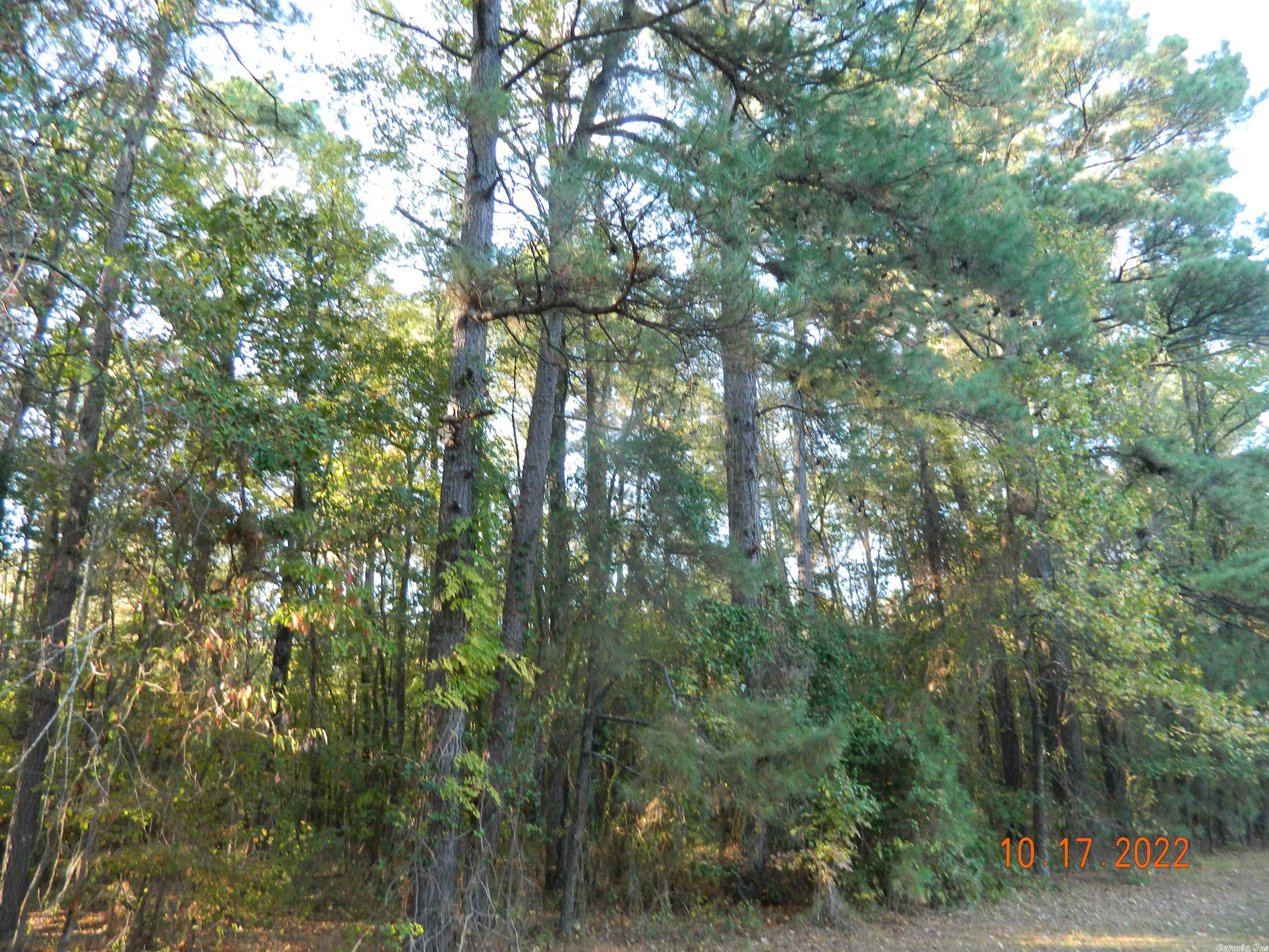 Only 3 Lots Left....Come Pick out your Lot Great Place to build your New Home.Just off Lower Lake Rd. in Degray Community. All Under Ground Utilities, Must haven a minimum of 1350 Sq. Ft. SORRY No Prefab or Mobile Homes.