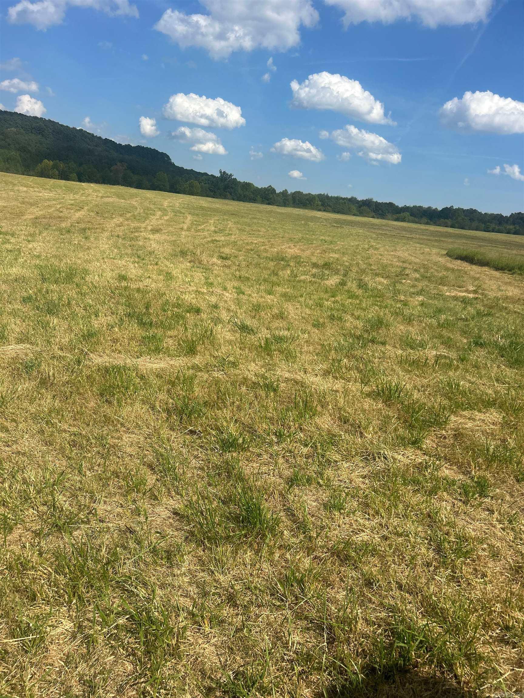 Not in Subdivision - Farm