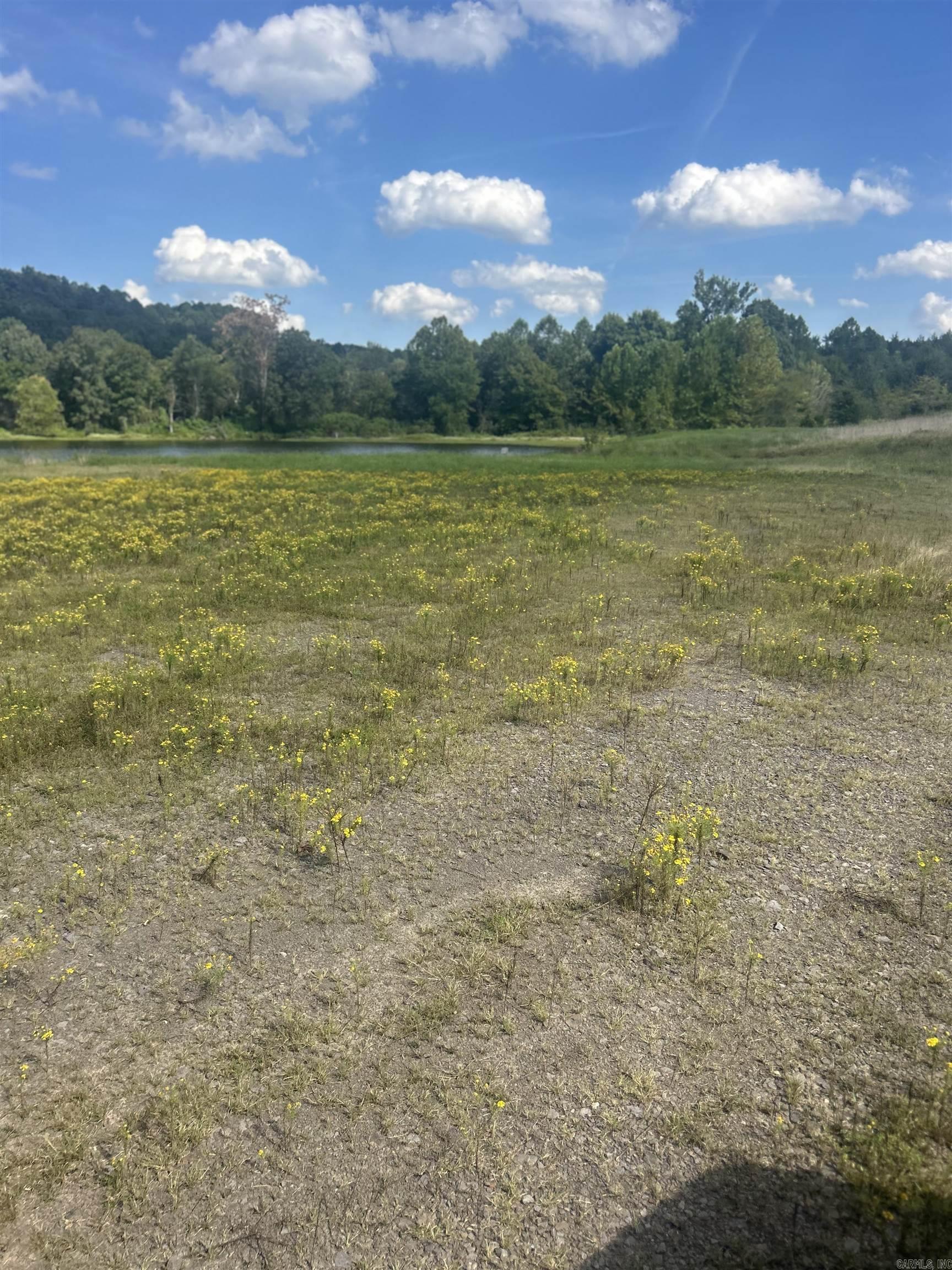Not in Subdivision - Farm