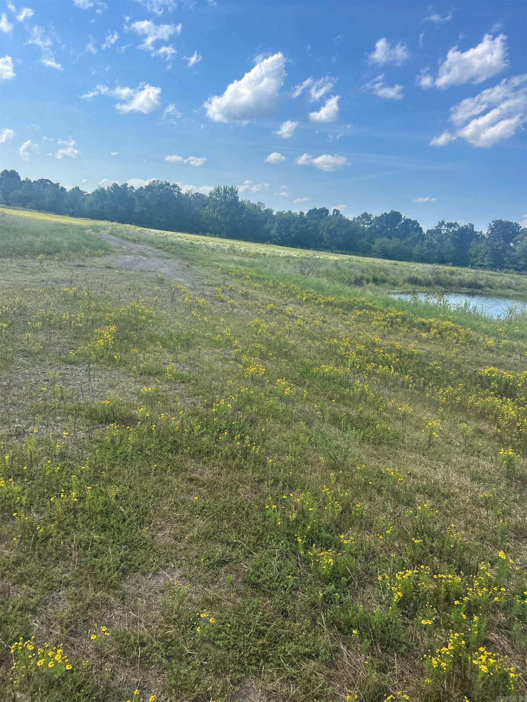Not in Subdivision - Farm