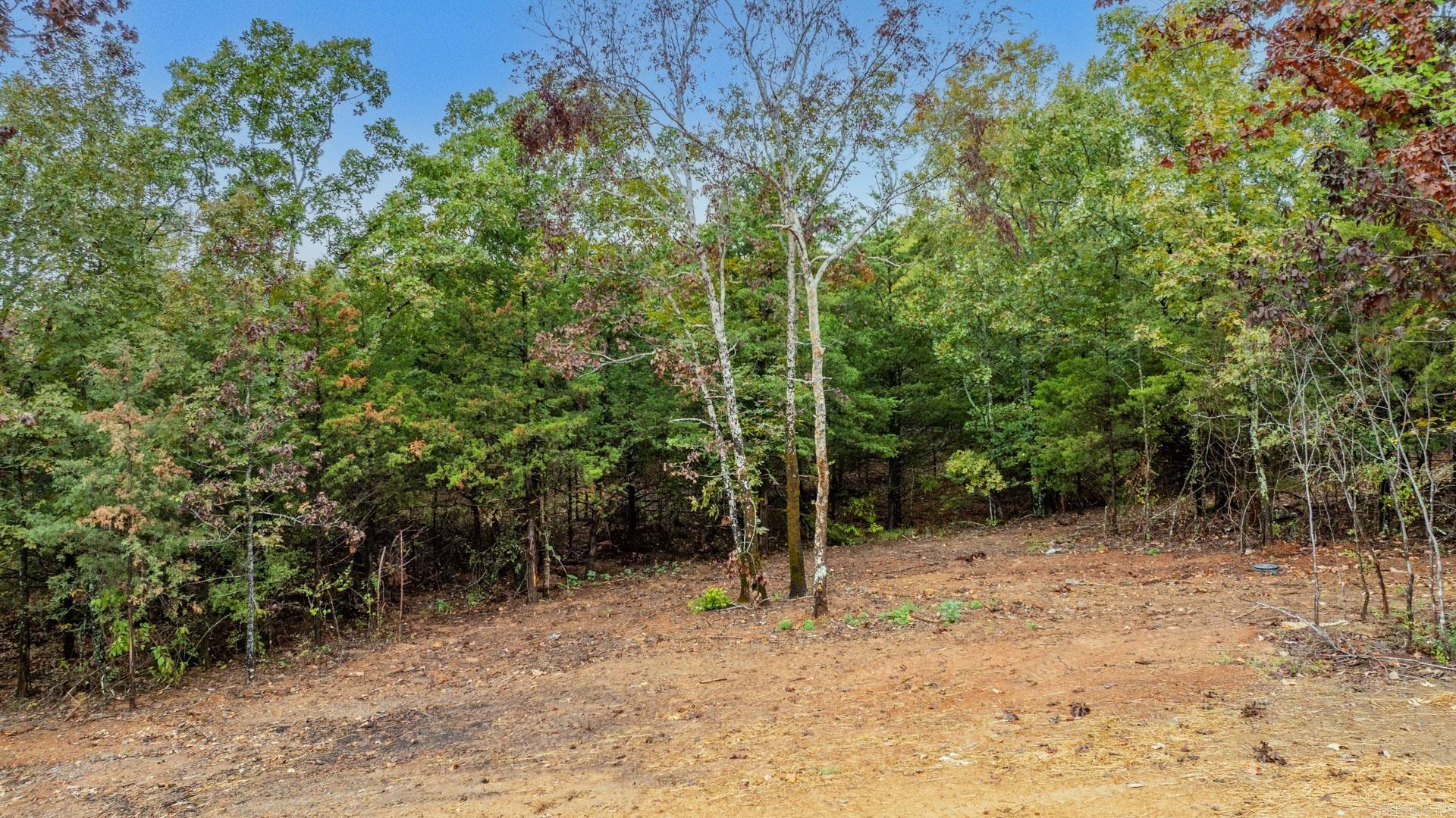 BLACKJACK SUBDIVISION - Residential