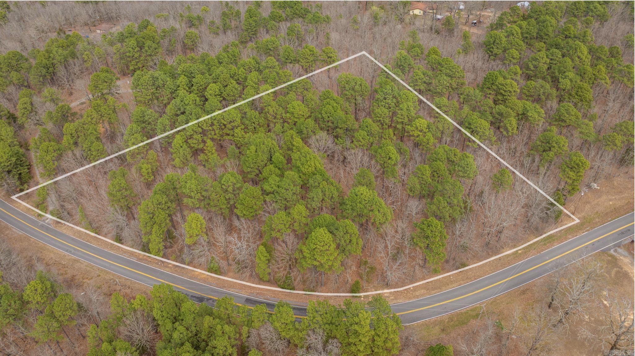 Feel like you are living in the country and only minutes from Conway. This wooded lot is the perfect spot for your home. Clear a spot in the trees and have complete privacy. Well will need to be drilled on the property.