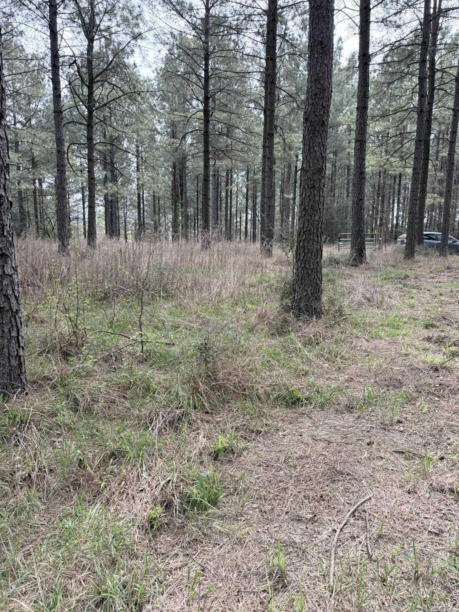 Situated on the scenic Little Missouri River, this beautiful 5 acre lot offers a blank canvas for your vision.  Whether you are dreaming of a weekend retreat, custom riverfront home or quite cabin getaway, this property provides endless possibilities.  Tucked away in a peaceful setting, yet just minutes from downtown Murfreesboro, beautiful Lake Greeson and the Crater of Diamond State Park, this hidden gem combines privacy, natural beauty and convenience in one exceptional location.
