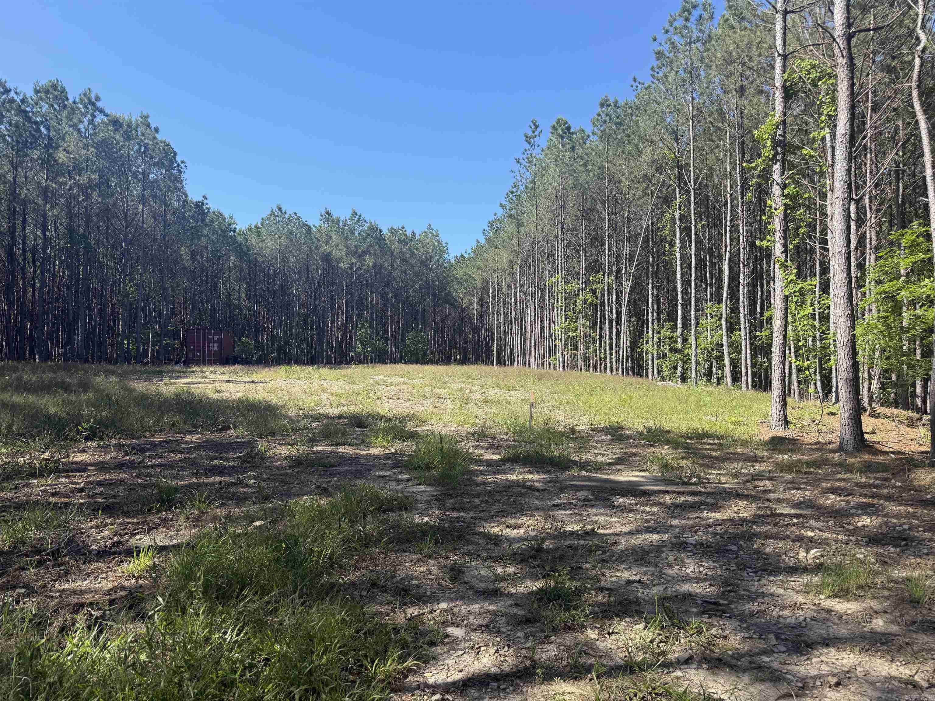 Great opportunity for a homesite, recreational property, or investment tract surrounded by natural beauty. Beautiful, peaceful 10 acre tract featuring mostly mature trees with a cleared homesite ready for your dream home or getaway cabin. A road has already been cut through the from the front to the back. Gates are installed at both ends with the front on Stihl and the back on Breshears Road. Culverts are in for driveways and both ends. Subdivision allows tracts as small as 5 acres so could be two homeplaces.  Restricted from mobile homes. Will require well and septic.