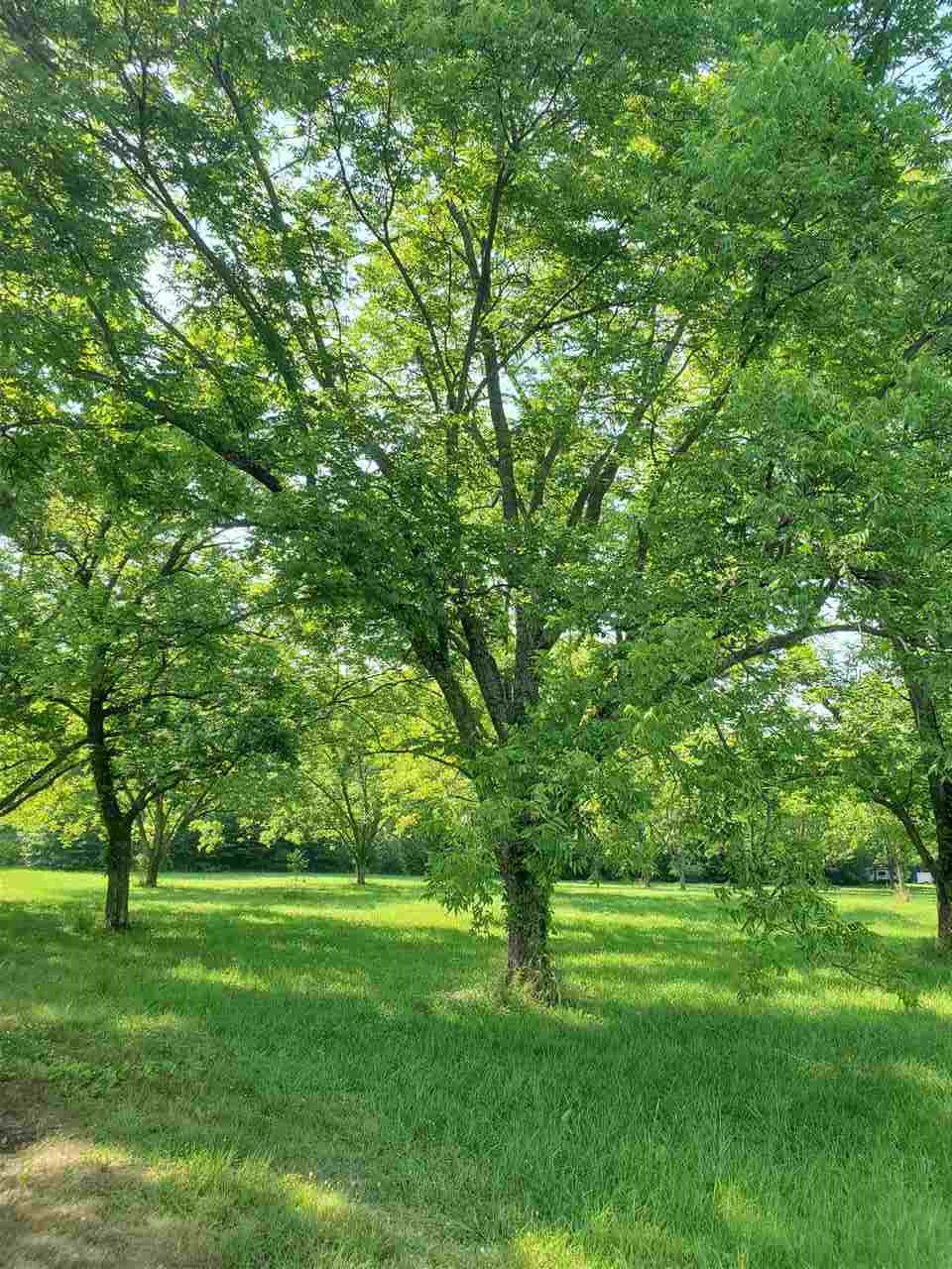 Not in Subdivision - Land