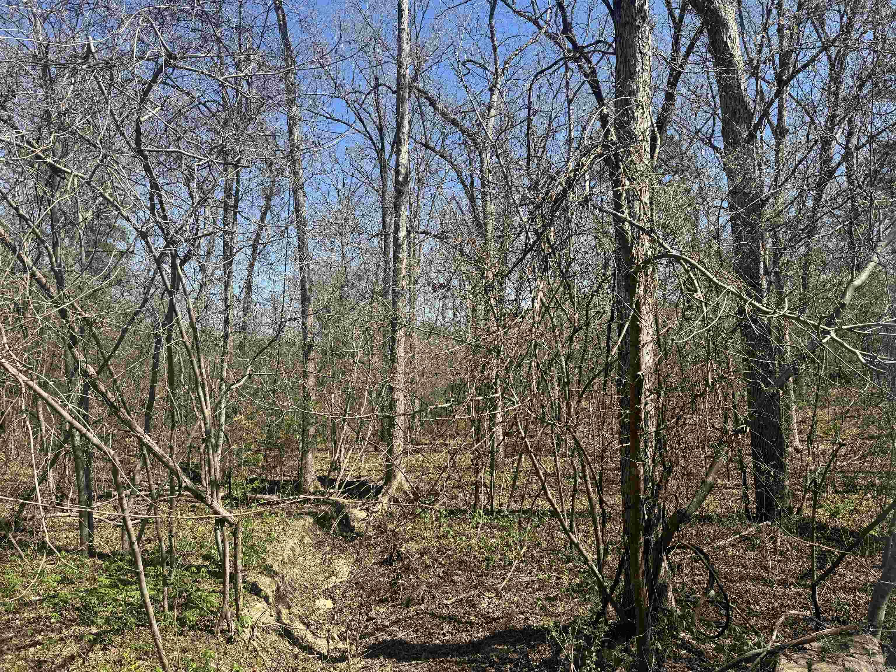 Hutchinson - Land
