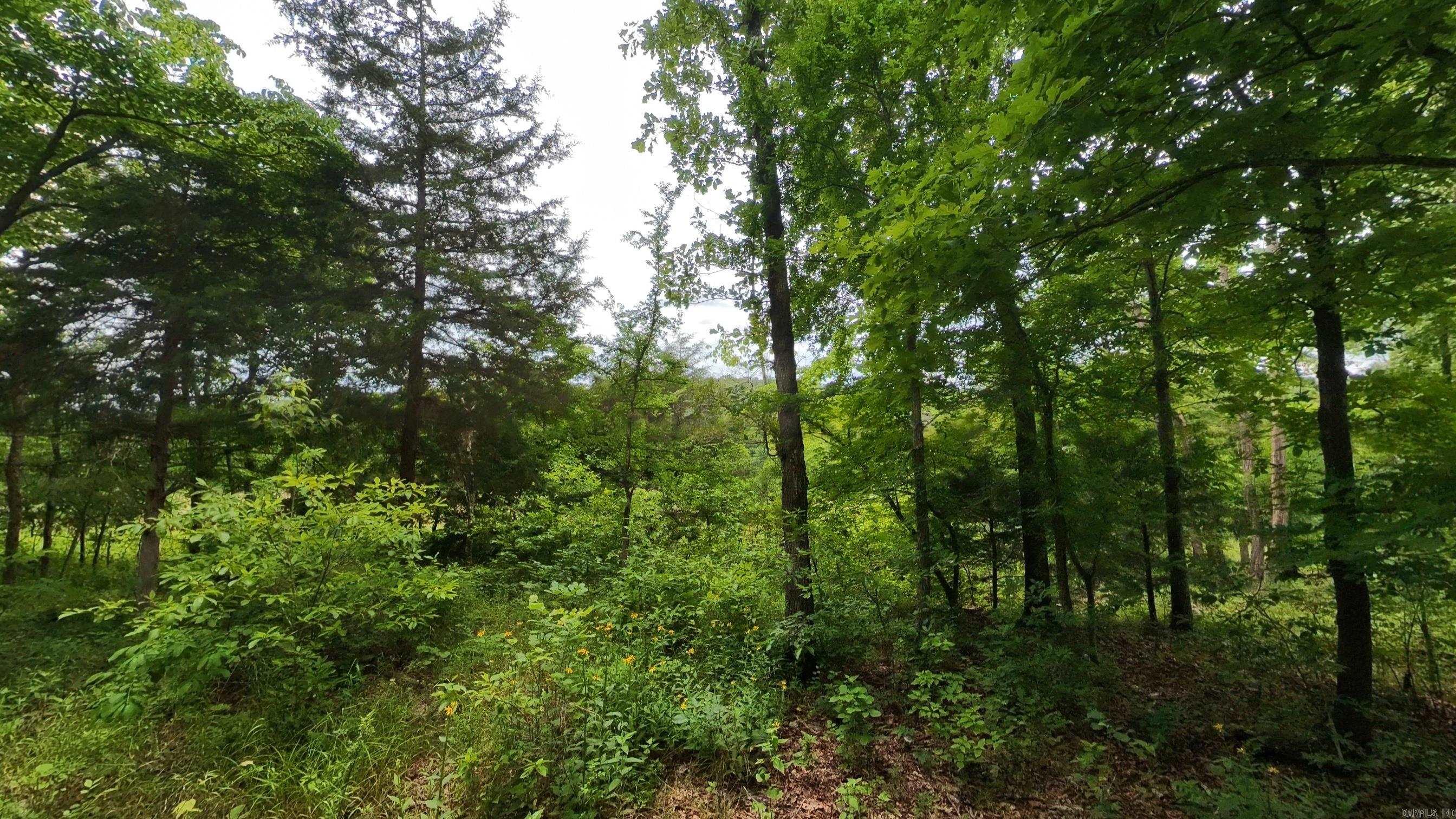 Not in Subdivision - Land