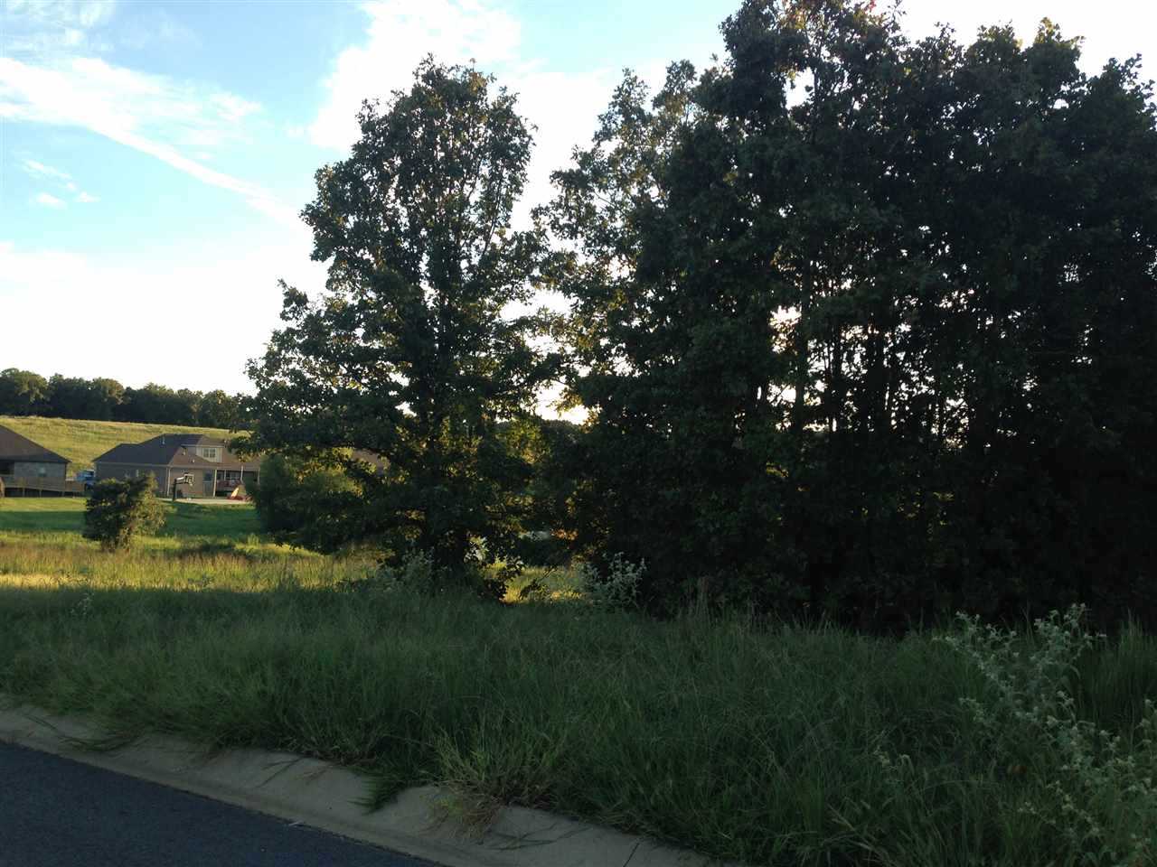 Beautiful lake lot on the back entrance of Greystone.  Easy access to freeway for commuters. Lot 78 & Lot 79 could be purchased together for $65,000. Doesn't get much better than this!