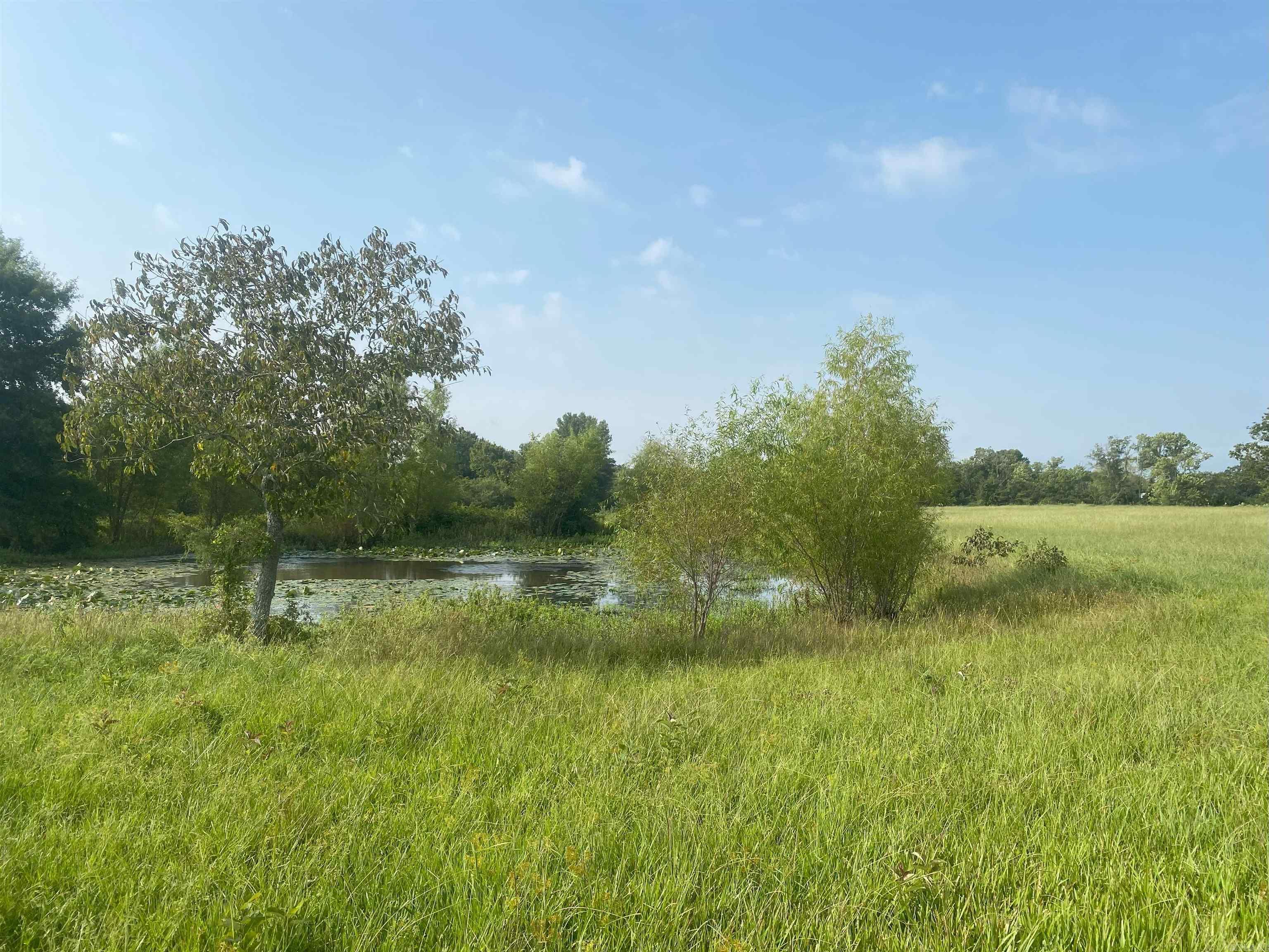 This amazing property is waiting on her next owner.  Partially fenced, utilities near the lot lines, and ready.  Mixed grass pastures, pond, and easy access to Conway and Greenbrier!