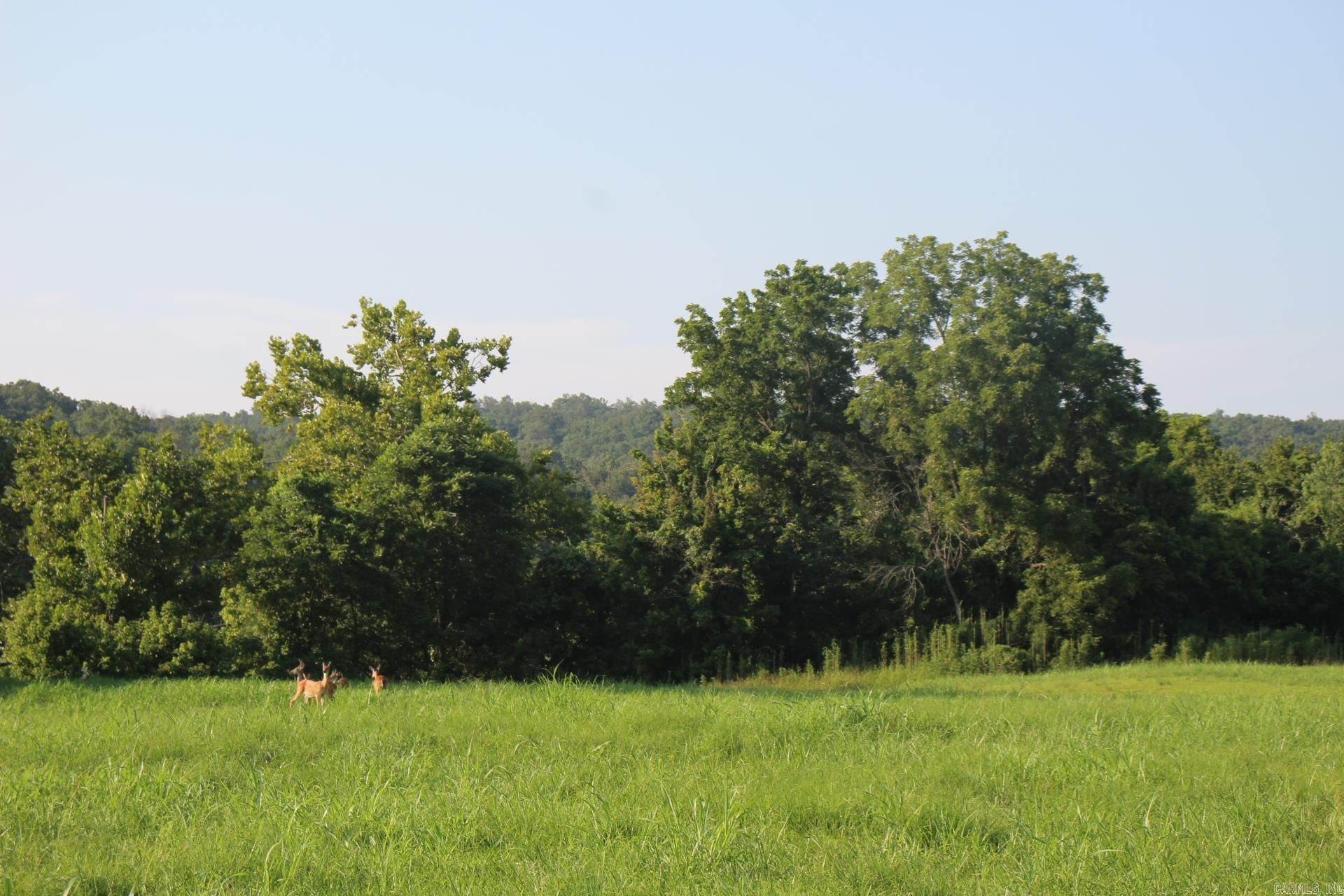 White River Valley - Land