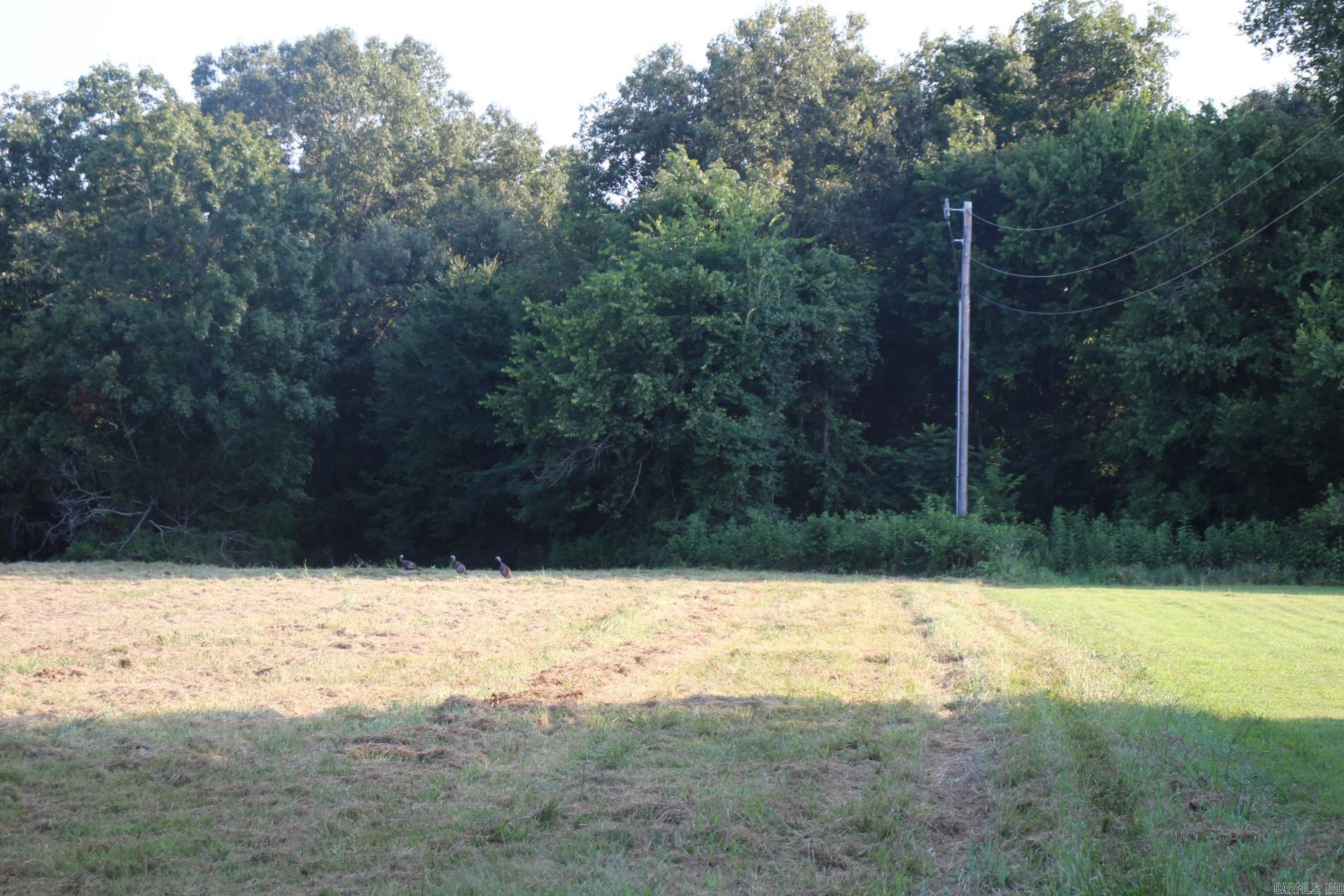 White River Valley - Land