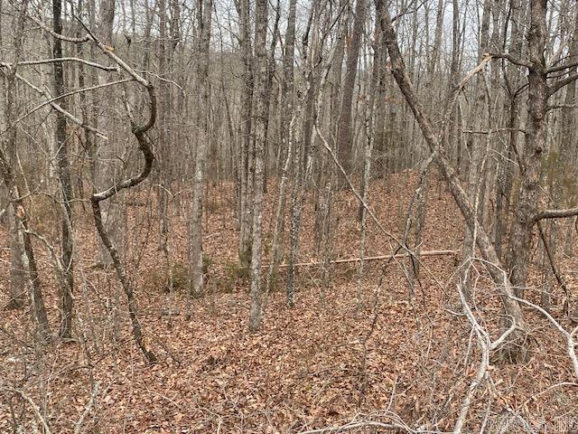 Holley Mountain Airpark - Land