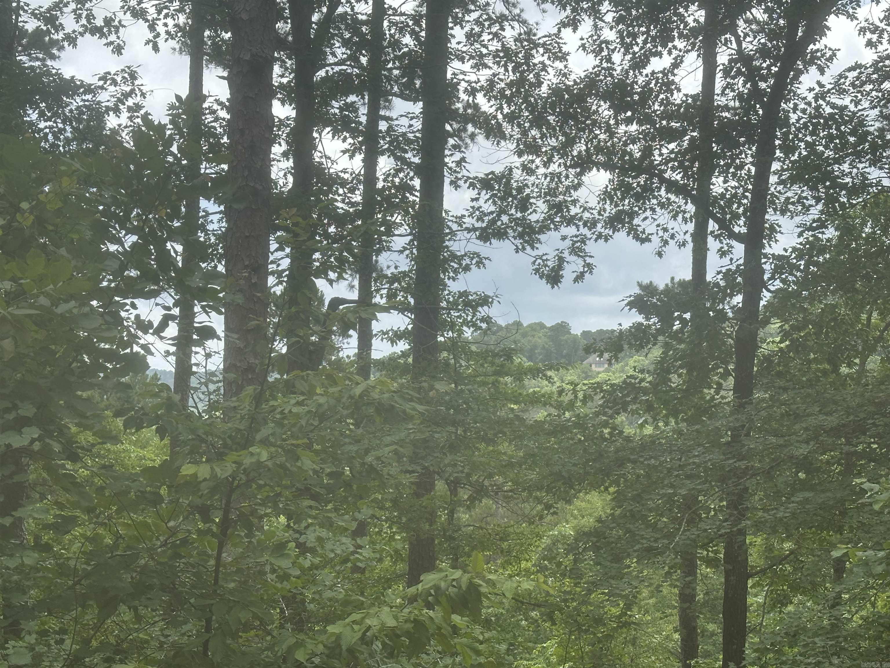 Whispering Woods - Land