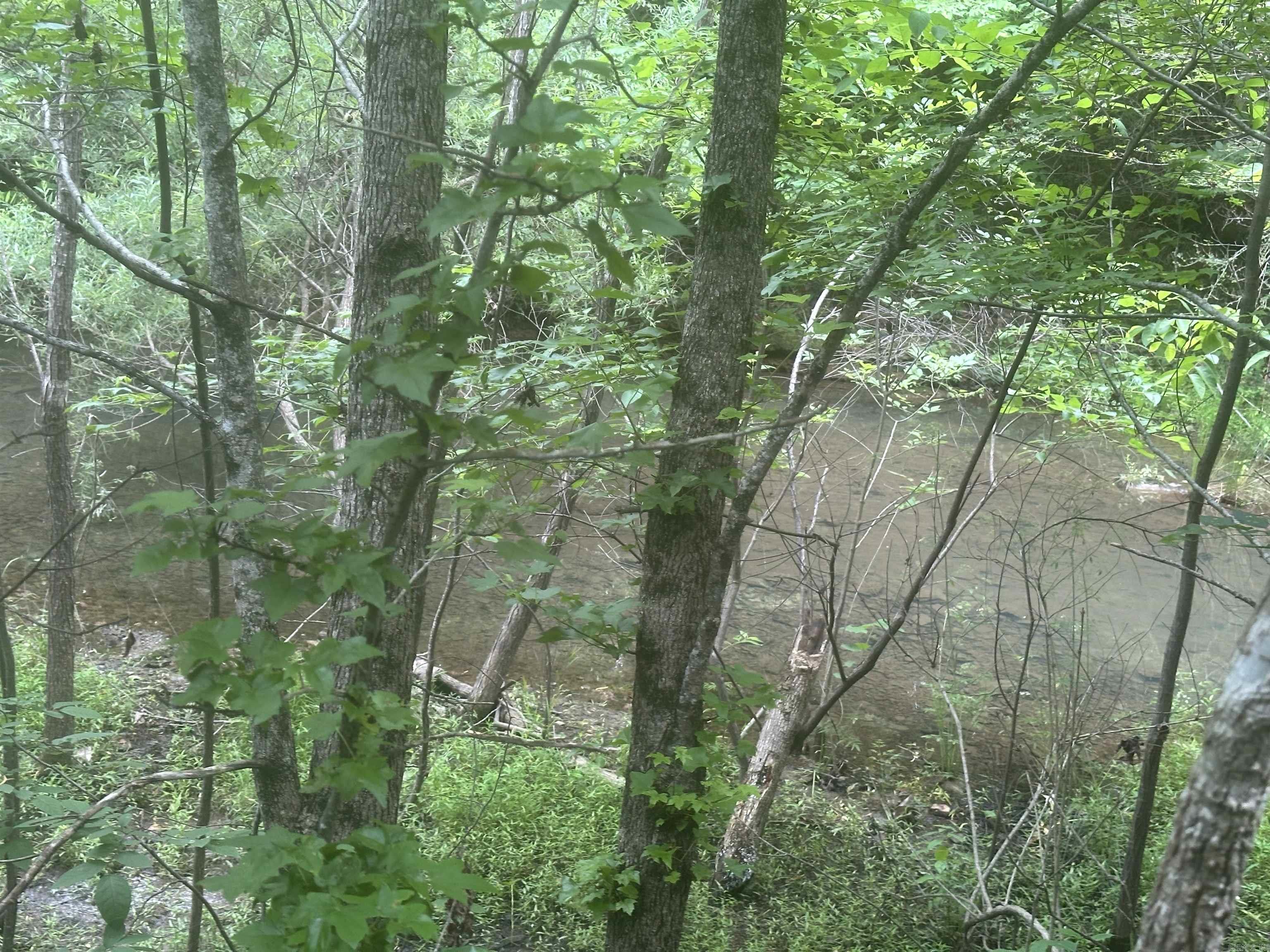 Whispering Woods - Land