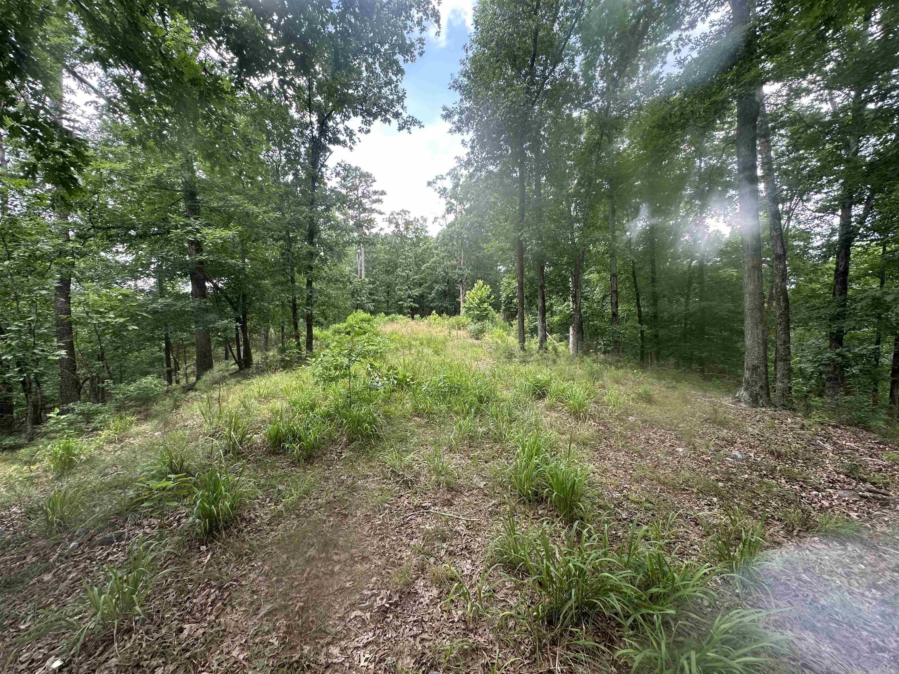 Whispering Woods - Land