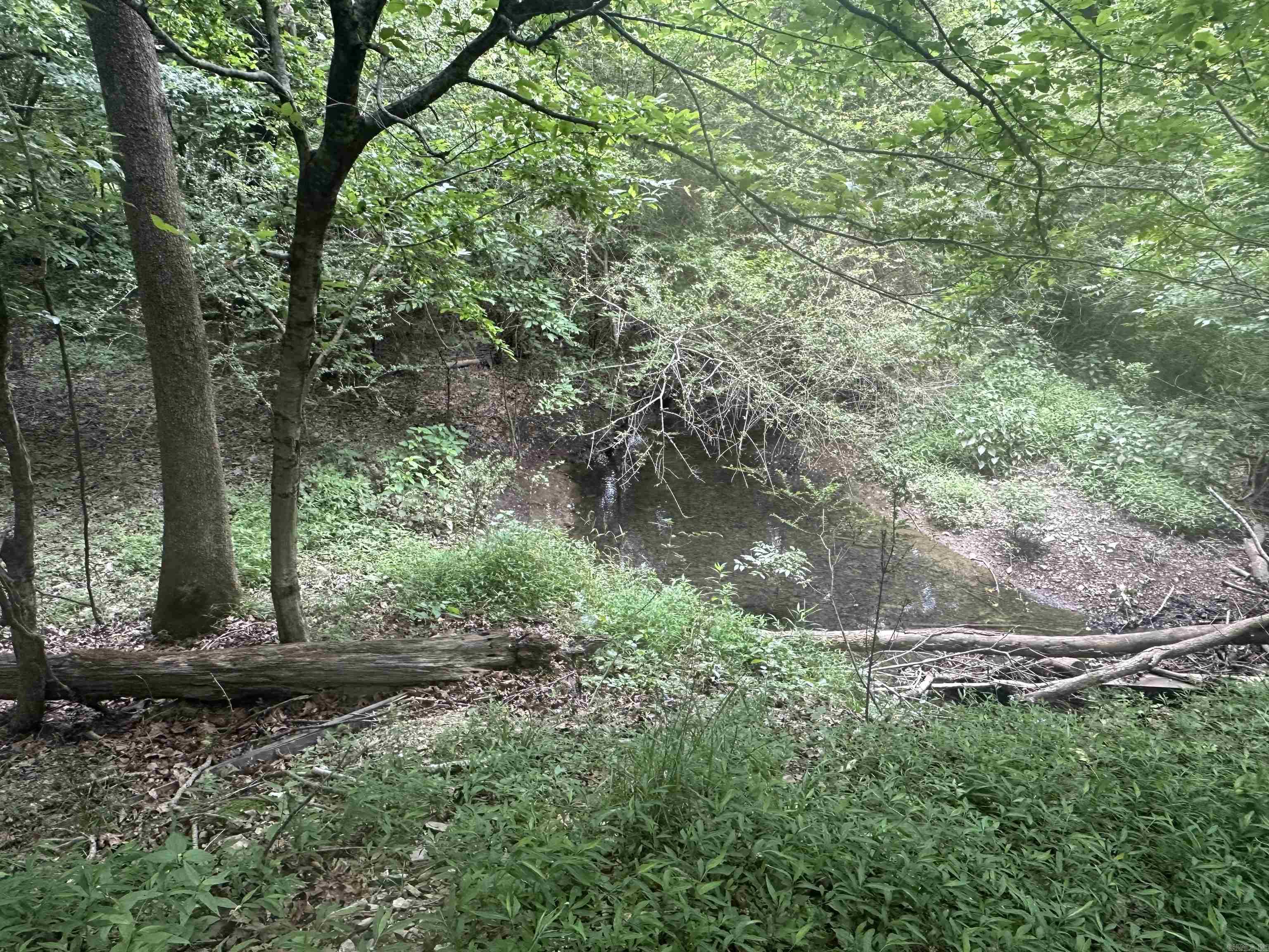 Whispering Woods - Land