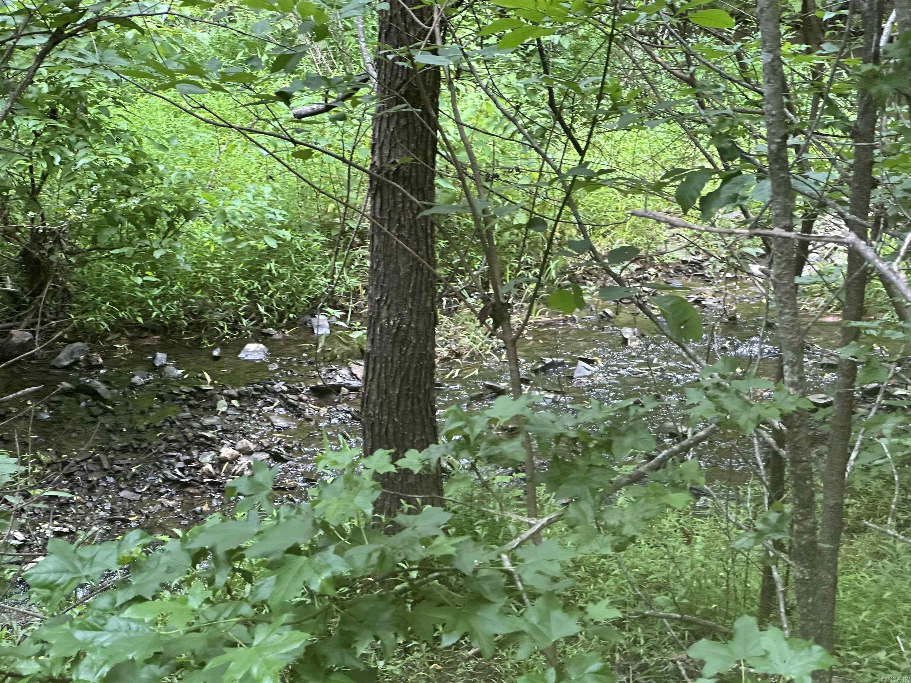 Whispering Woods - Land