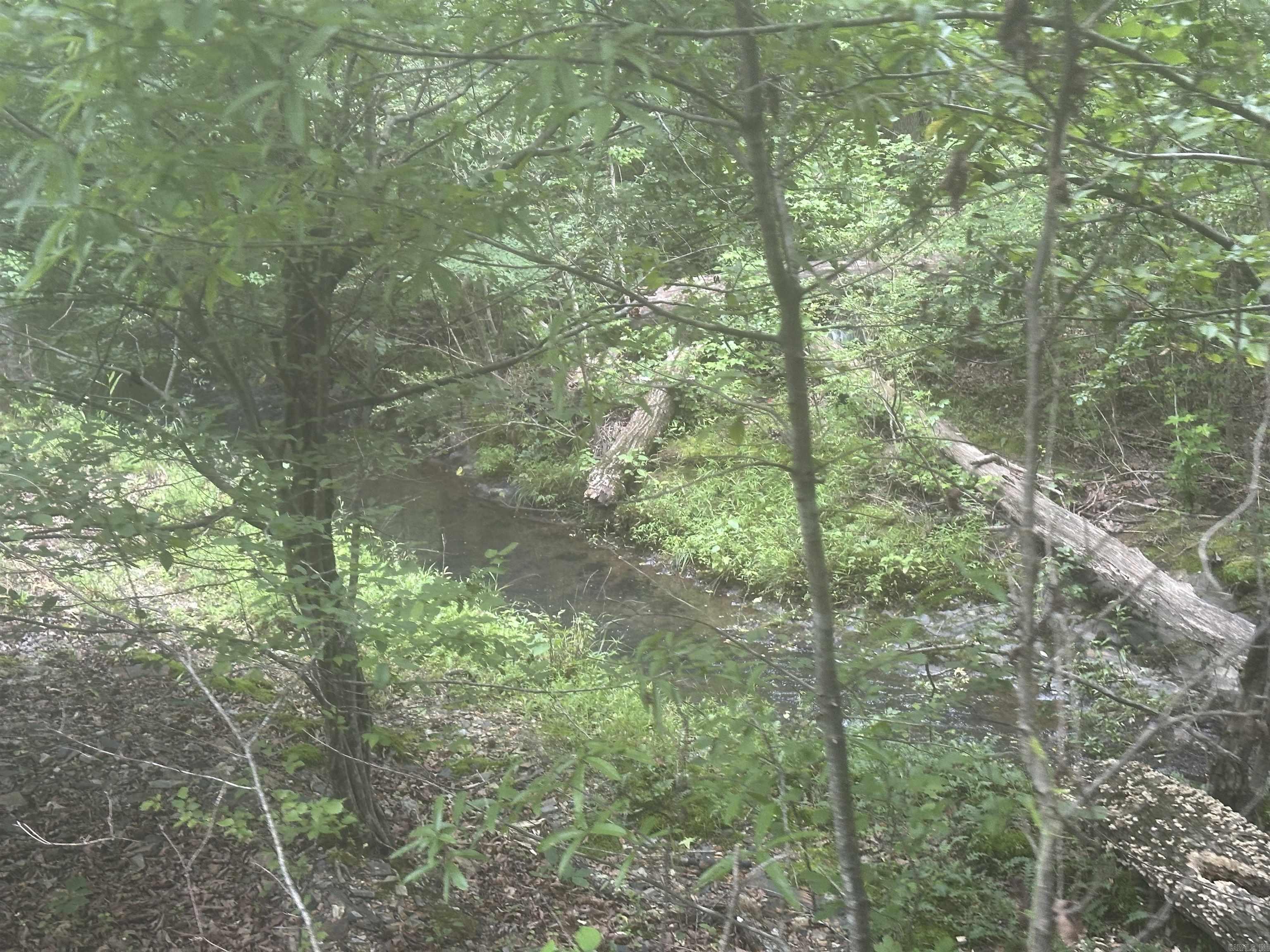 Whispering Woods - Land