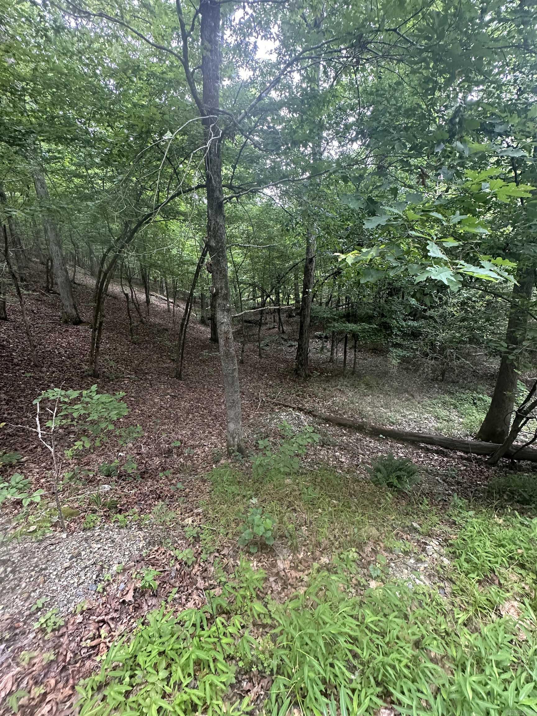 Whispering Woods - Land