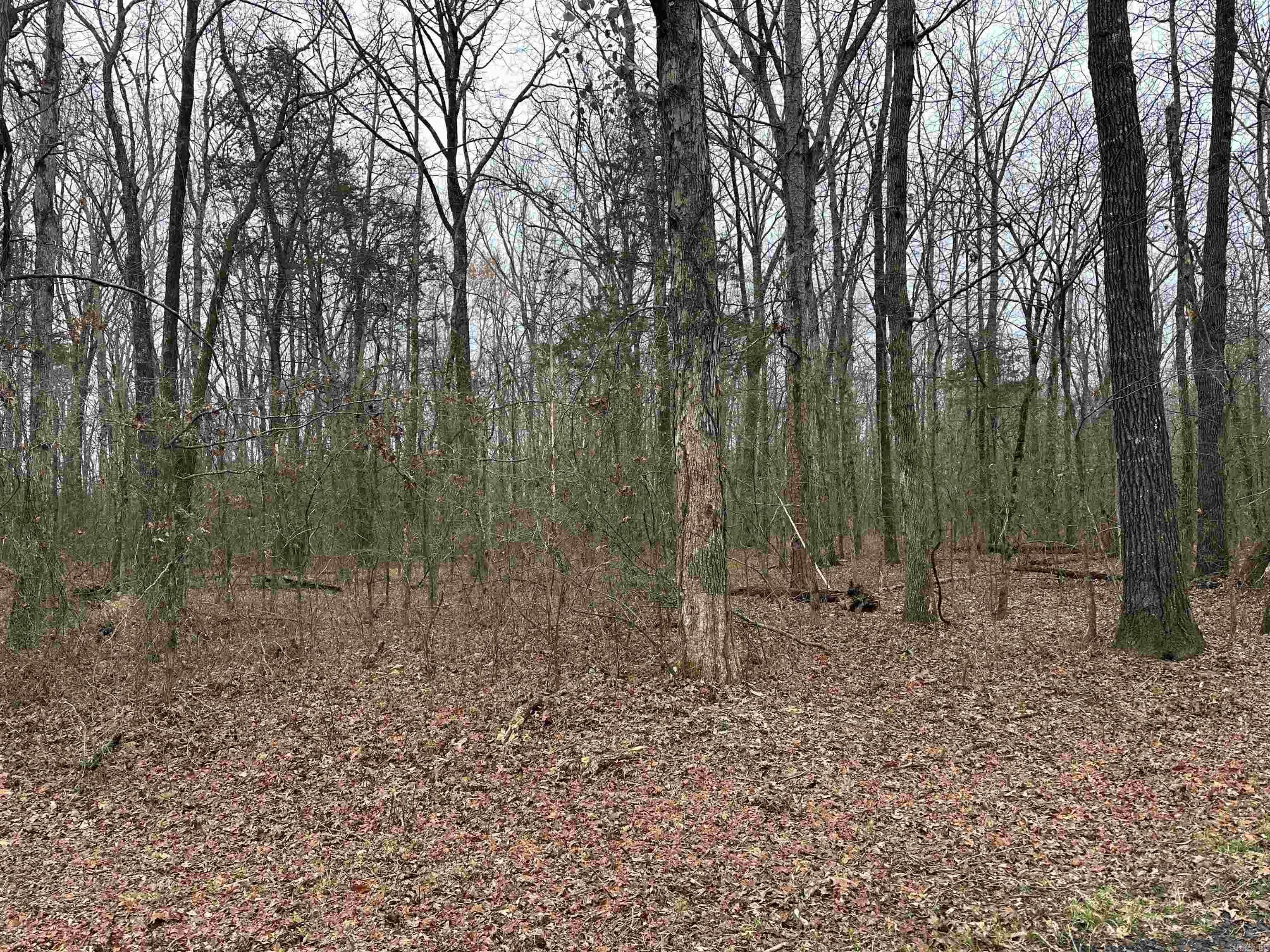 Nice buildable lots located right in the middle of town and close to EVERYTHING. These won't last long so call today.