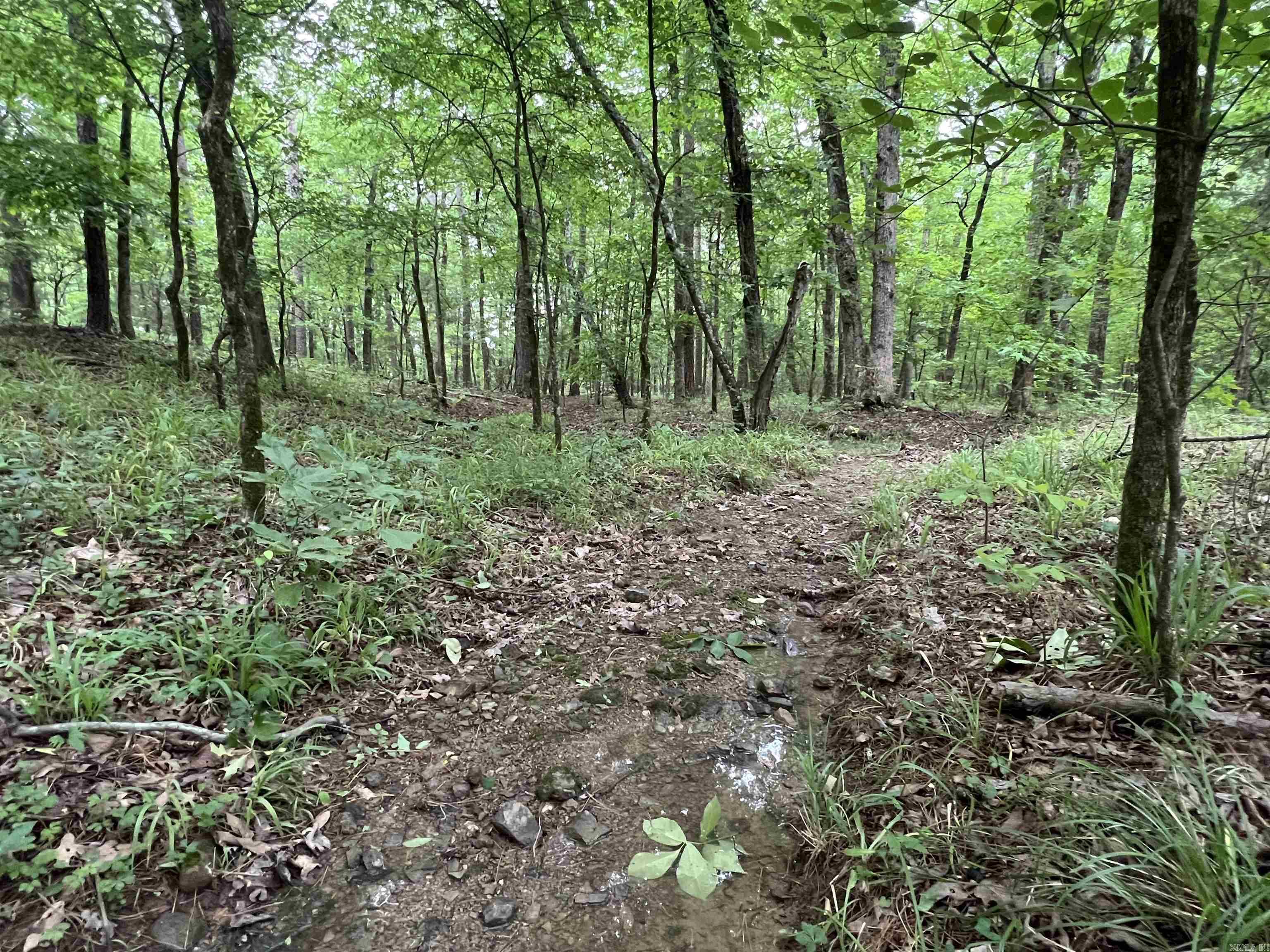 Nunley - Land
