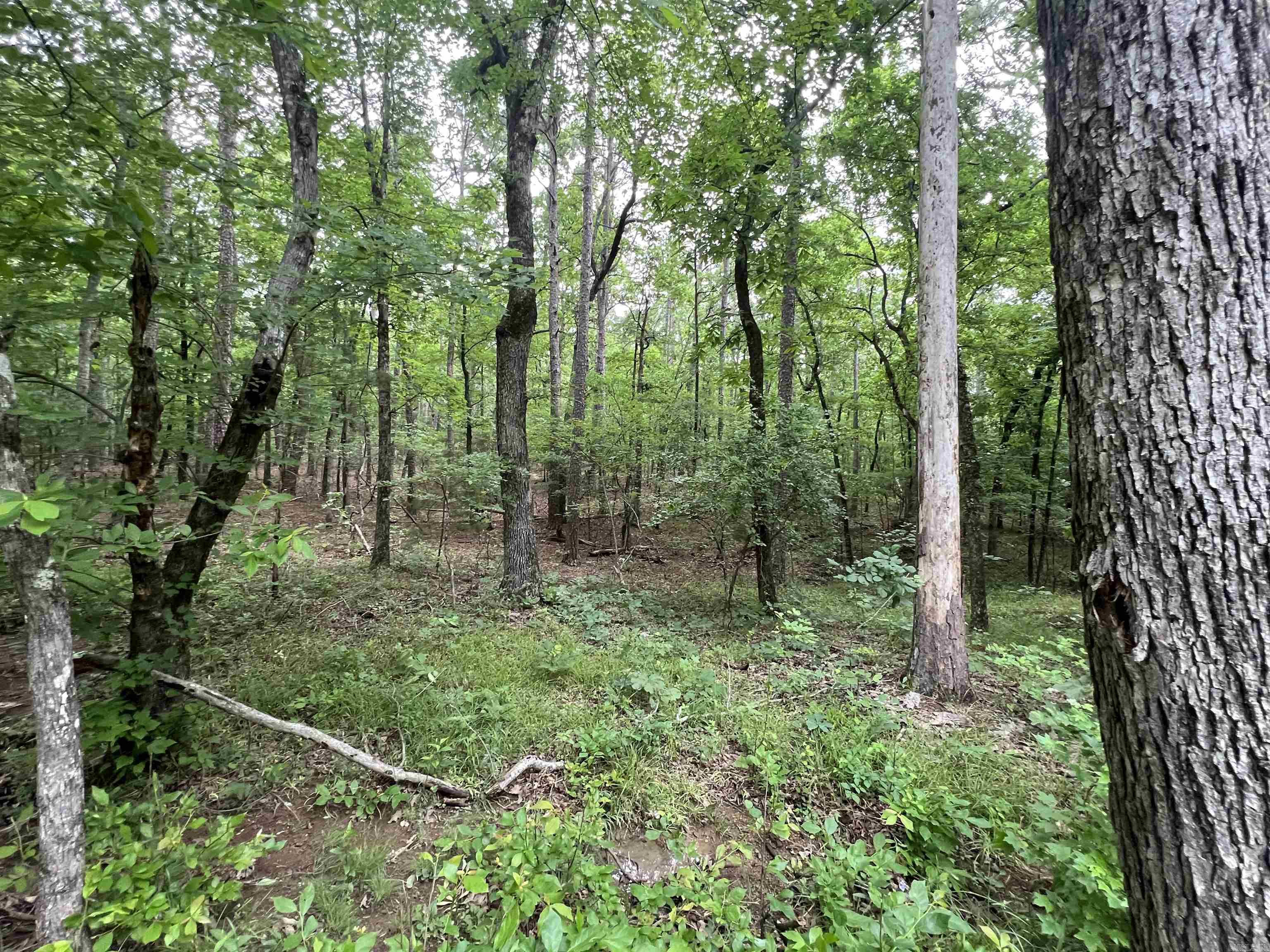 Nunley - Land