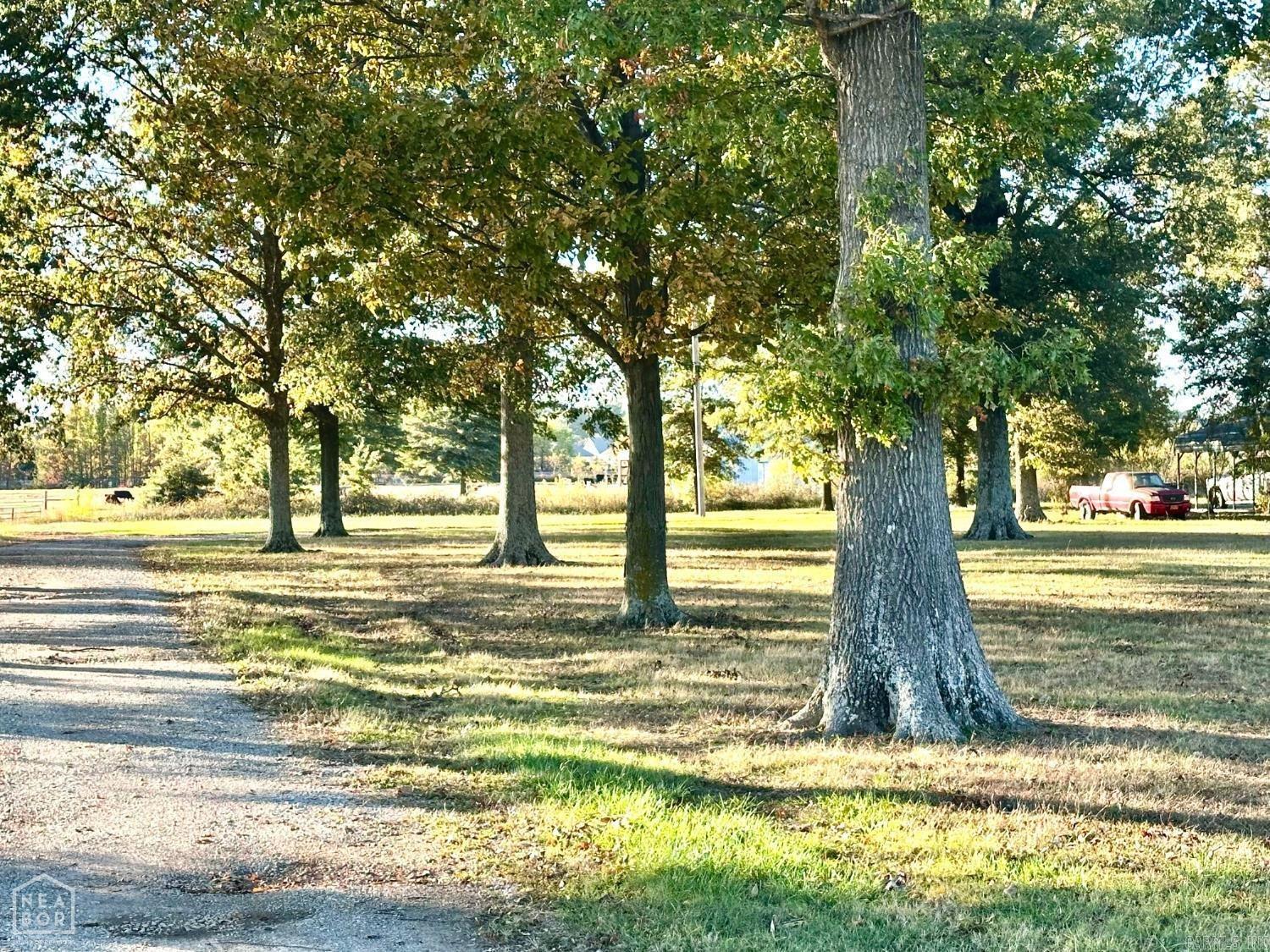 Brookland - Land