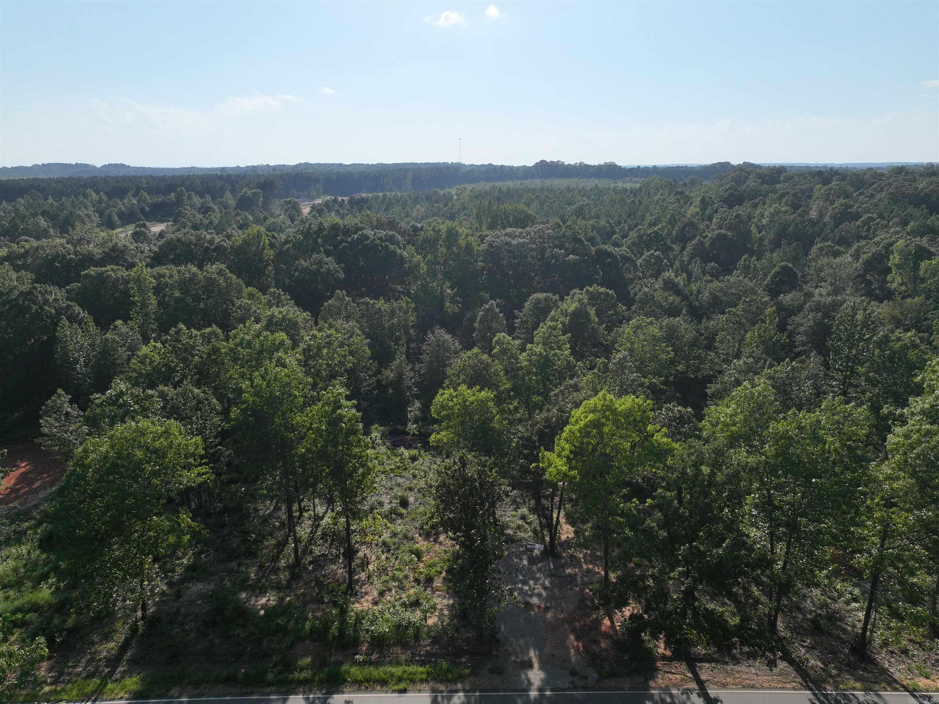 Pristine 10 wooded acres 21 miles south of Little Rock in Saline County. Dirt road. Ready for development or hold for appreciation. Seller will provide survey. Part of a larger parcel.