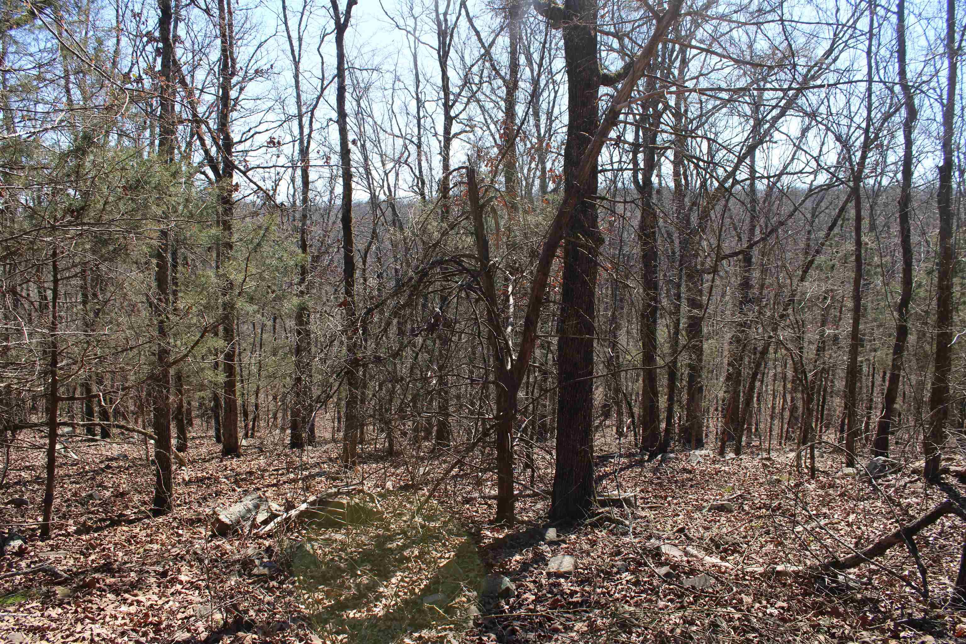 Arlington Estates - Land