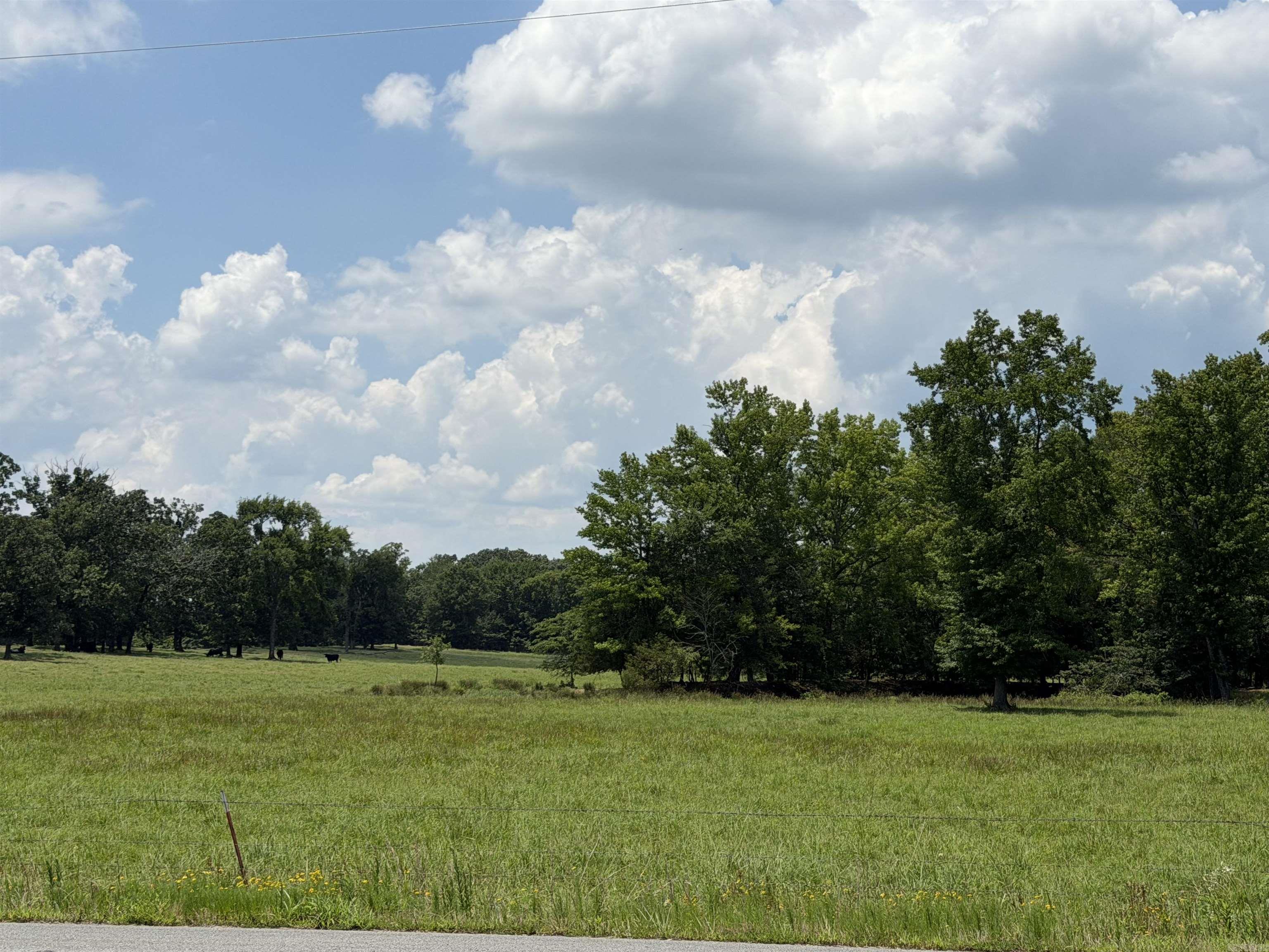 TIMBER/PASTURELAND IN THE BONO COMMUNITY, GREENBRIER SCHOOLS, DAMASCUS ADDRESS. SEE AGENT REMARKS