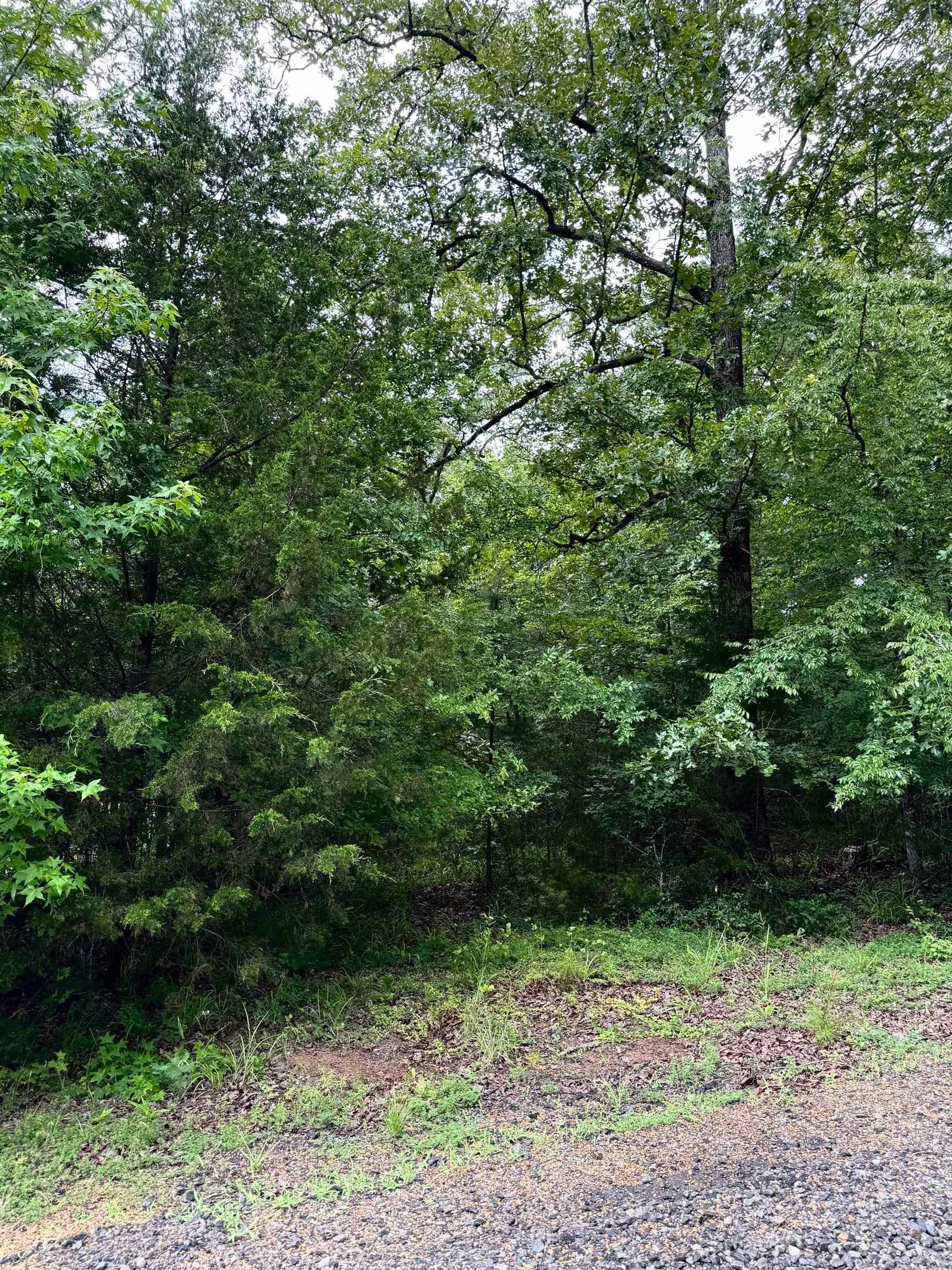 Primrose Creek Sayles - Land