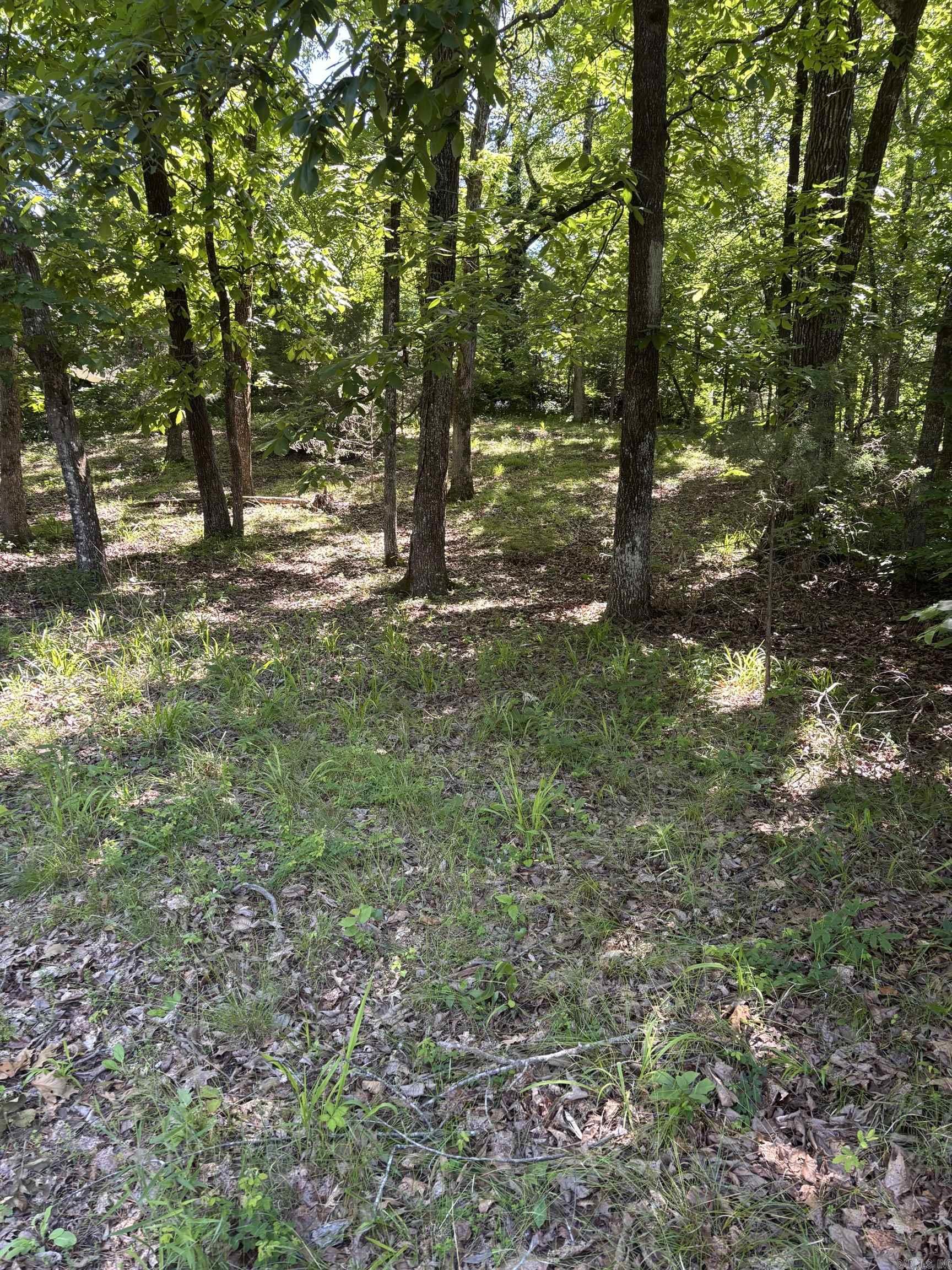 Build your dream getaway on this ready-to-build lot just 1.1 miles from Crystal Springs and beautiful Lake Ouachita! Enjoy easy access to boating, fishing, swimming, and outdoor recreation while still having the privacy and tranquility you’ve been looking for. A new survey has been ordered, making this property even closer to ready for your future plans. Whether you’re looking for a weekend retreat, investment opportunity, or future homesite, this location offers endless potential near one of Arkansas’s most desirable lake areas.