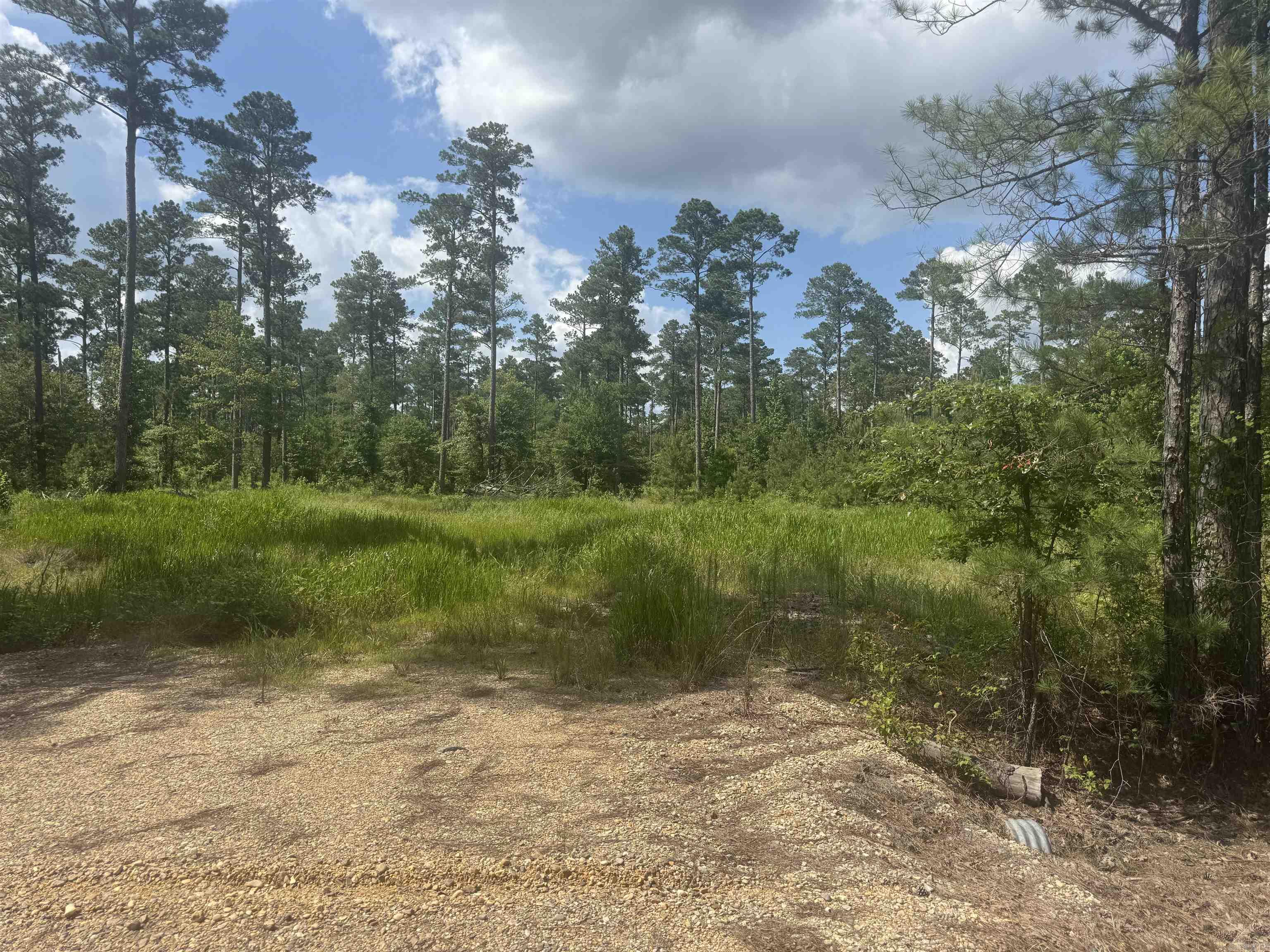 Hampton Acreage - Land