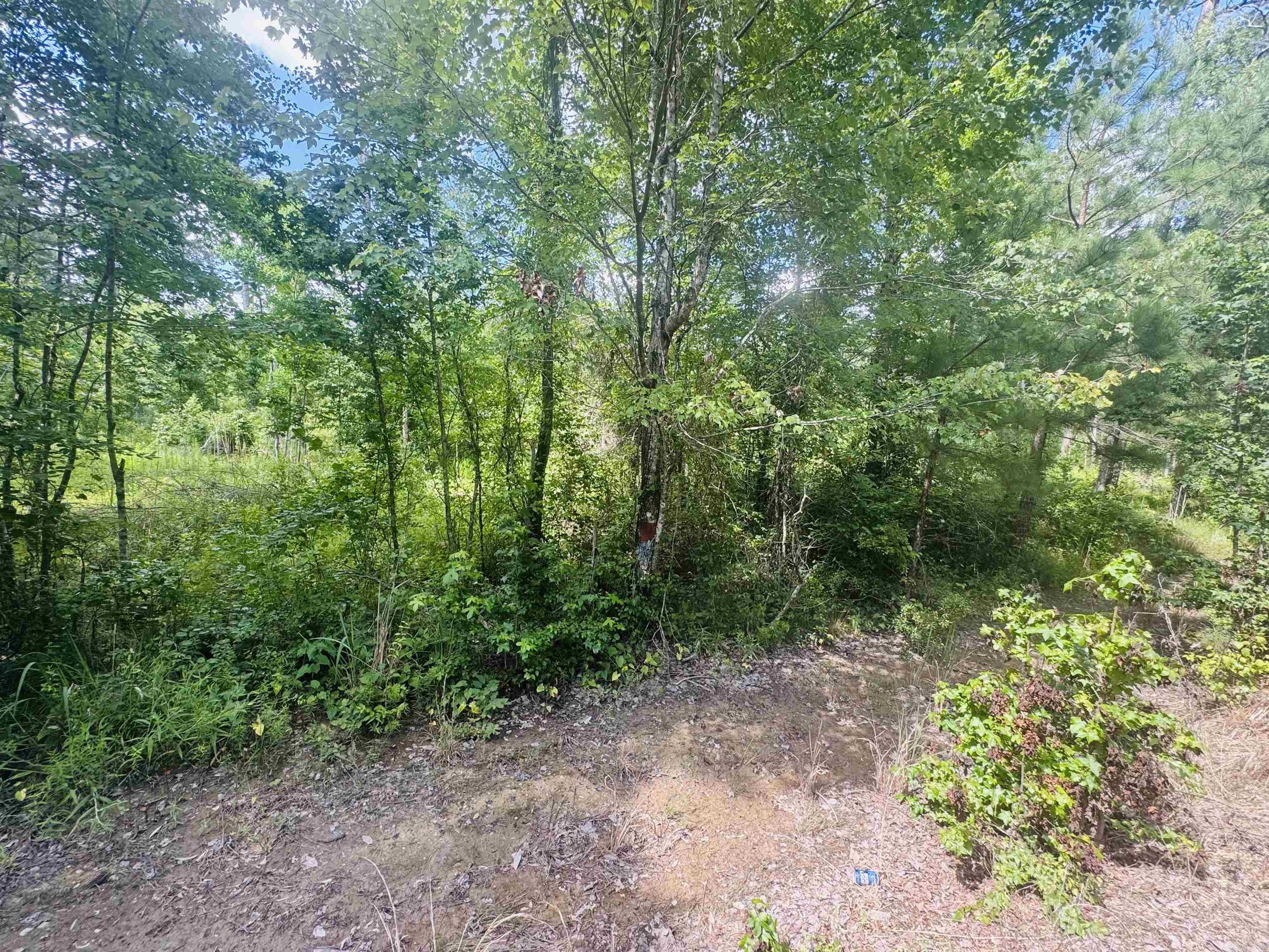 Hampton Acreage - Land
