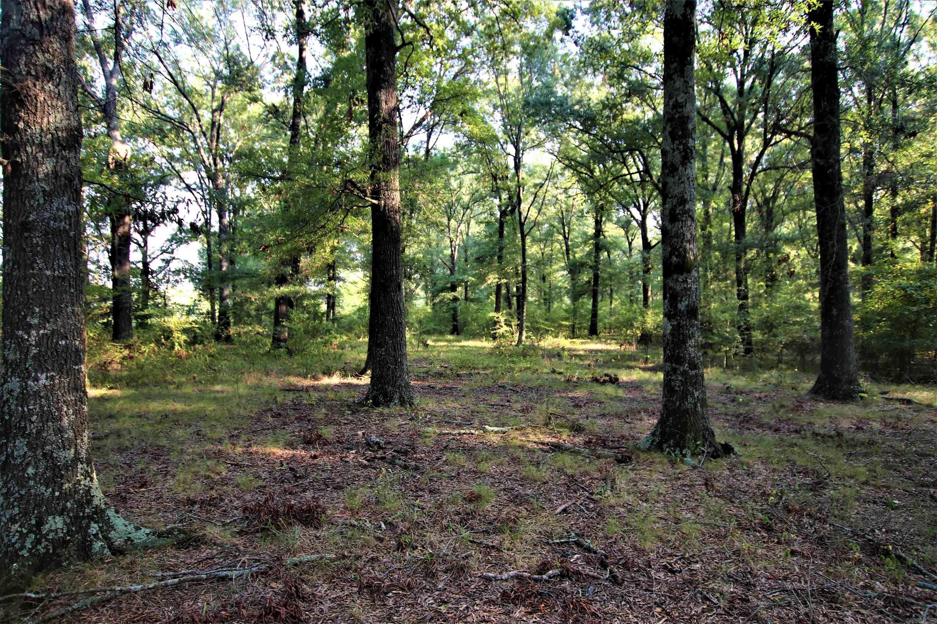 Not in Subdivision - Land