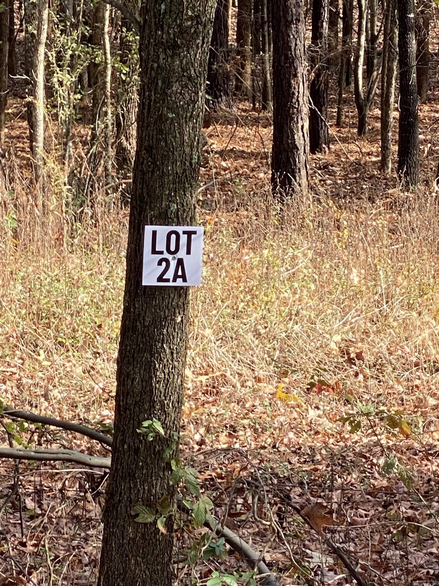 Lot 2A is an approx 10-Acre lot located within Tract A.  Tract A begins at the Corner of Forbus and Hwy 89.  Onsite is a larger sign showing the lot layout.  Acreage is wooded and fronts Hwy 89.  Lot 2A is 1 of 4 lots available for purchase in Tract A.  Grand Prairie Water and First Electric at Road.  Fantastic opportunity for a spacious home place, duplexes, triplexes, and/or quadplexes.  Take a drive out to see this lot or the other lots listed.   See Agent Remarks.