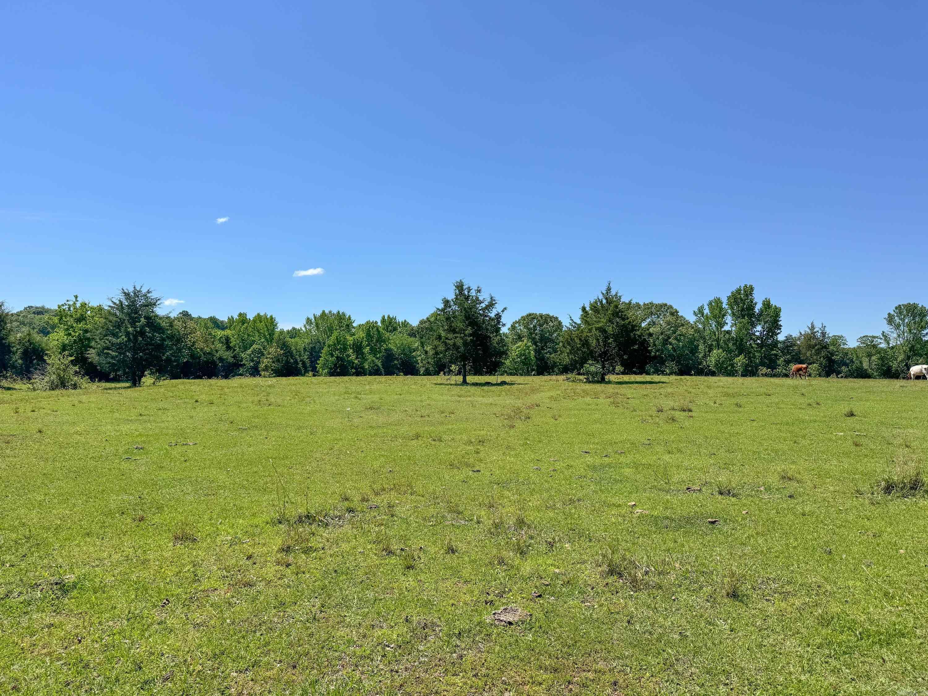 Nice, clear pasture with no restrictions and several good building sites. This property is in a great location, with an easy drive to Greenbrier and Conway, but still within the Faulkner County portion of the Quitman School District. If you are looking for the space and freedom that comes with life out in the country, this is the perfect spot for you. This property can also be purchased in half, if desired (as a 4-acre tract instead of 8 acres). With no restrictions you can build, bring in a mobile home, have livestock, a garden -- the choice is yours. Please do not enter any part of the property unless you have an appointment and are accompanied by your real estate agent. No entry is allowed without permission.
