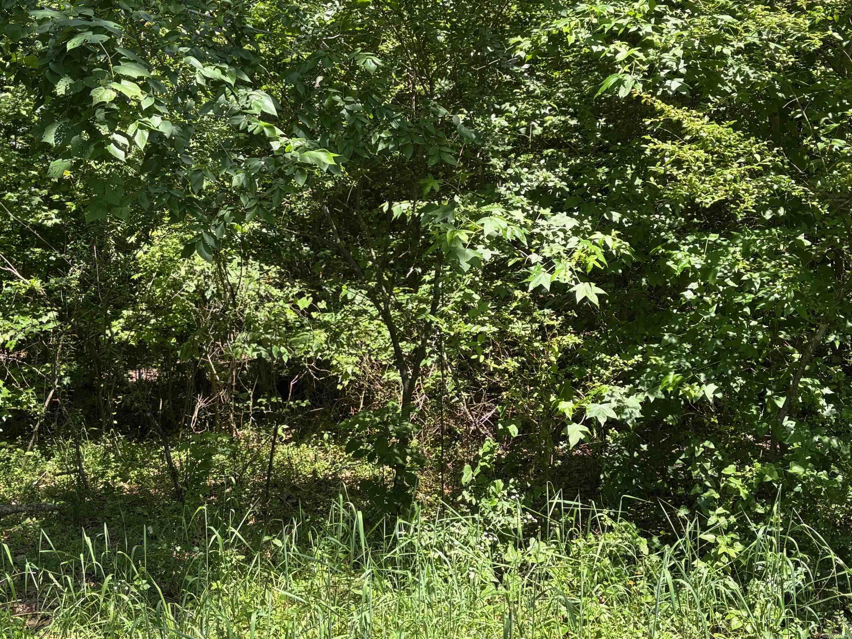 10 Acres in Pulaski County – Your Private Retreat! Own your own piece of Pulaski County! This 10-acre property offers the freedom to live how you want — no restrictions. Featuring a creek, partial fencing, and plenty of open space, it's perfect for recreation, farming, or building your dream home.  Whether you’re looking for a weekend getaway or a full-time homestead, this land gives you the space and privacy to make it your own.    *  This is in the Jacksonville / North Pulaski County School District *   7 miles to the Little Rock Air Force Base *   20 minutes to downtown Little Rock *   Public utilities (water, 1st Electric, cable) *   Extremely private at the end of a quiet cul-de-sac  *   Easily accessible to Jacksonville or Cabot *   Secluded, but not isolated