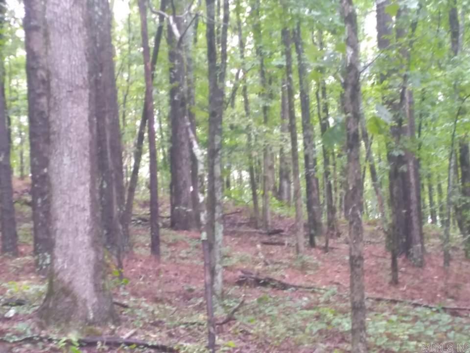 16.02 acres with large timber on it. Location is suitable for hunting and/or new house builds all while not being too far from modern conveniences. Call for more details today!