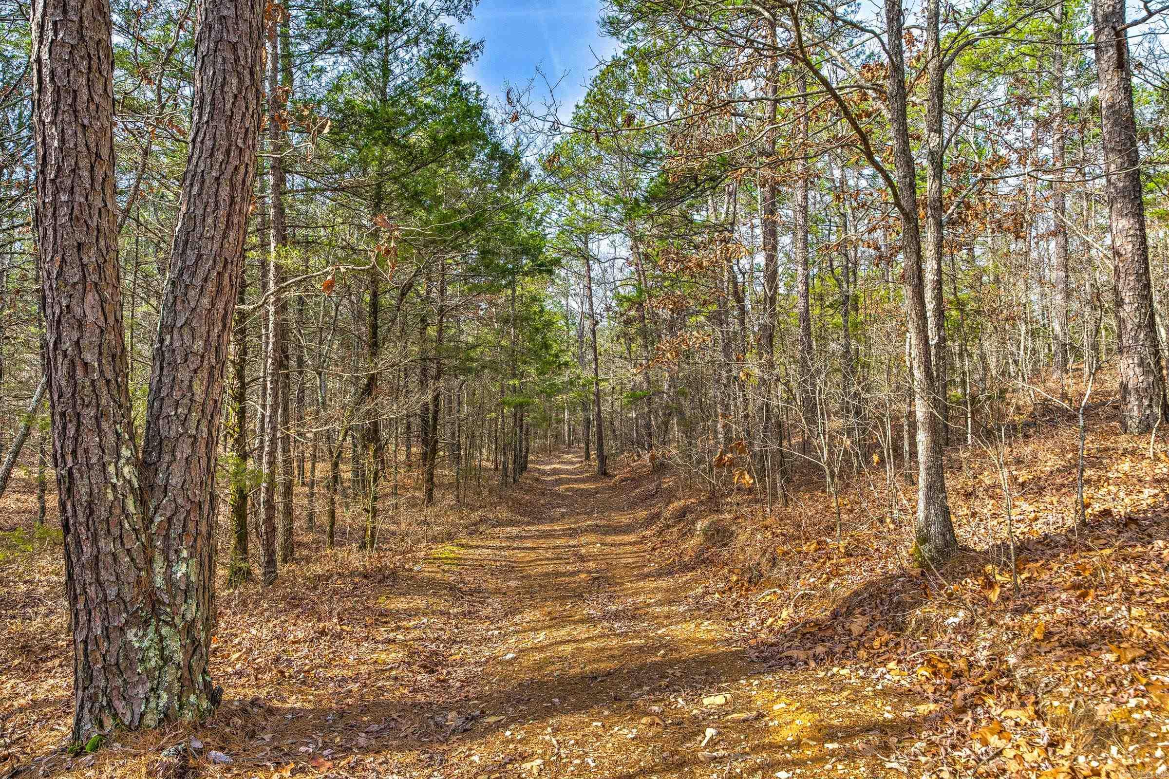 Board Camp - Land