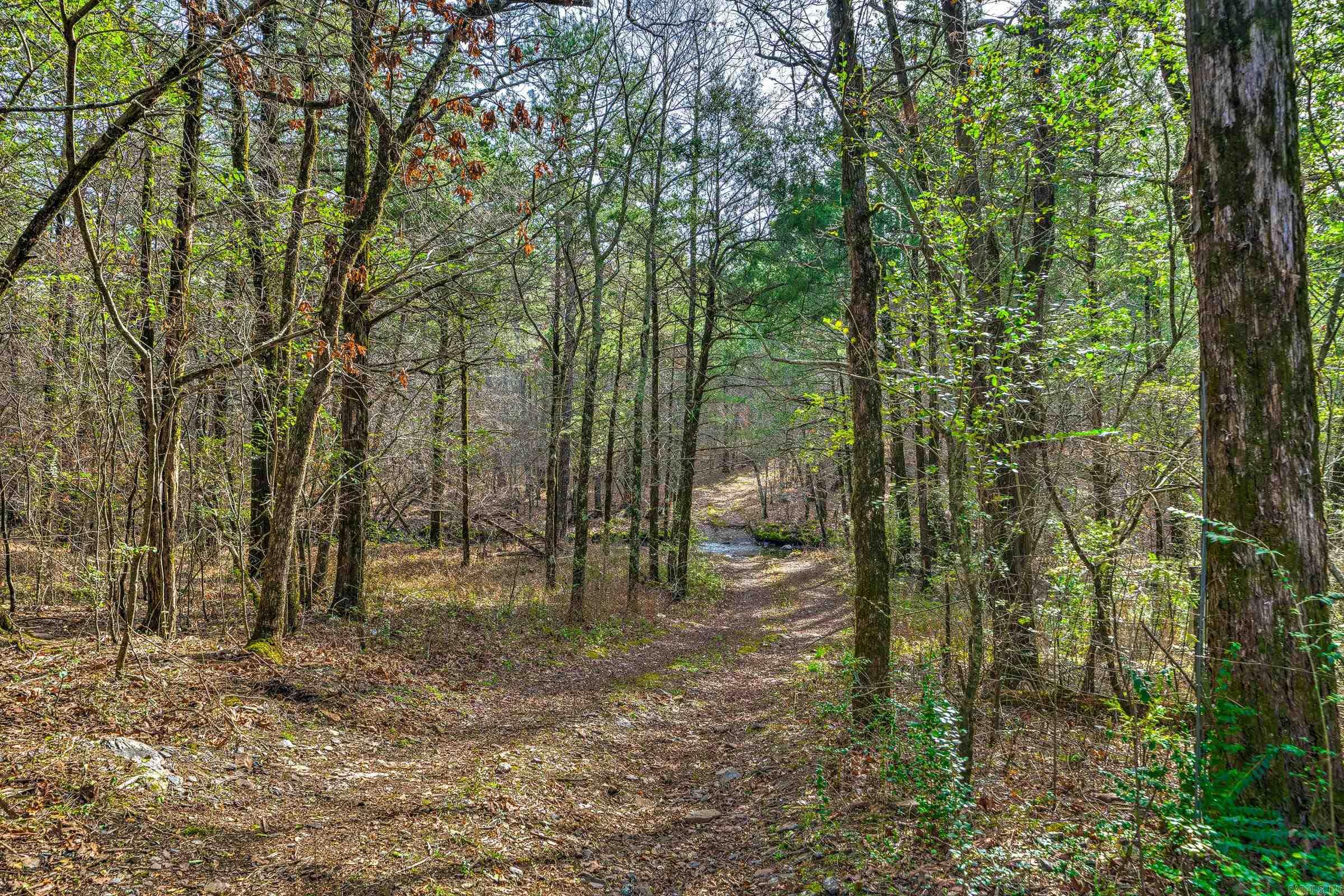 Board Camp - Land