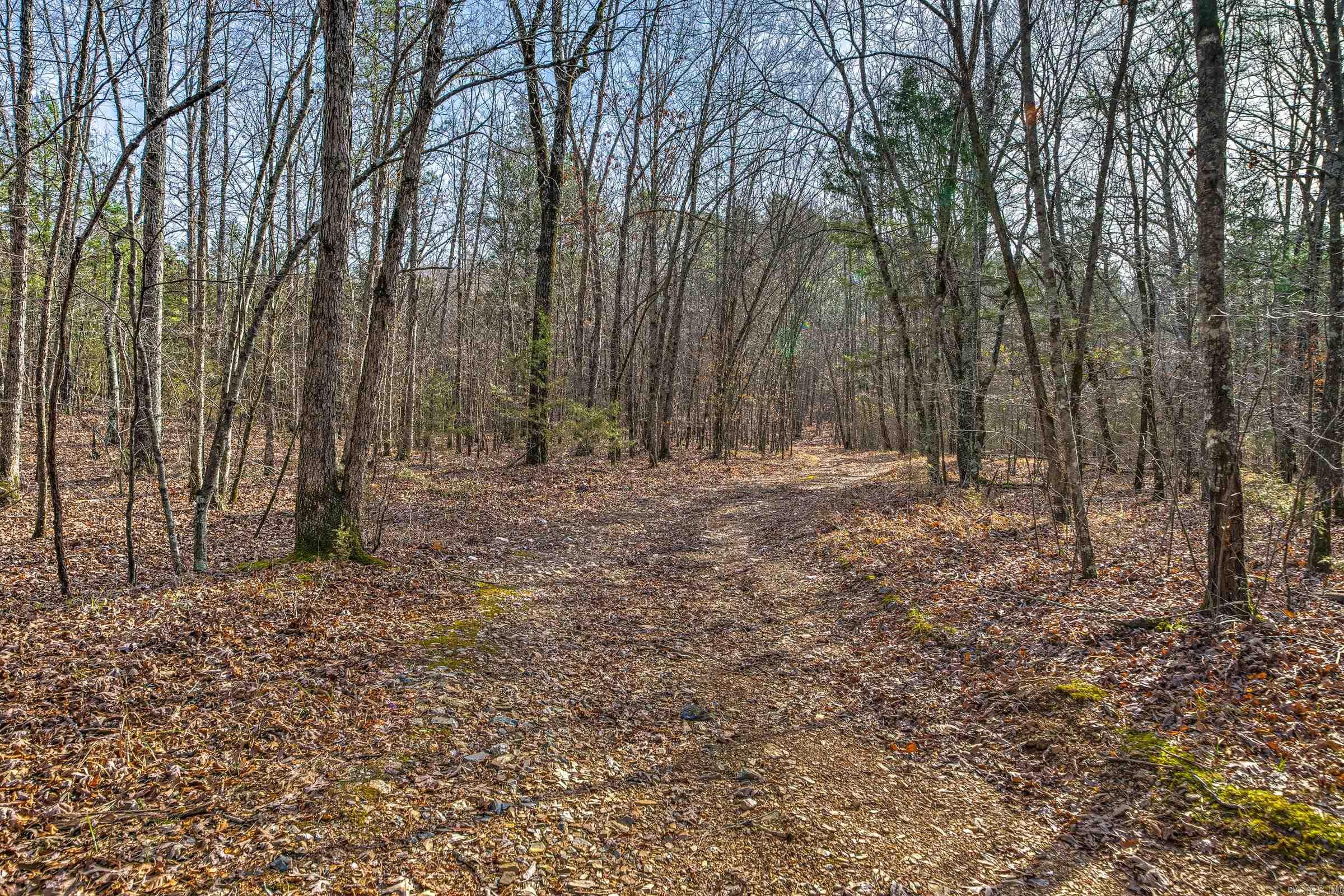 Board Camp - Land